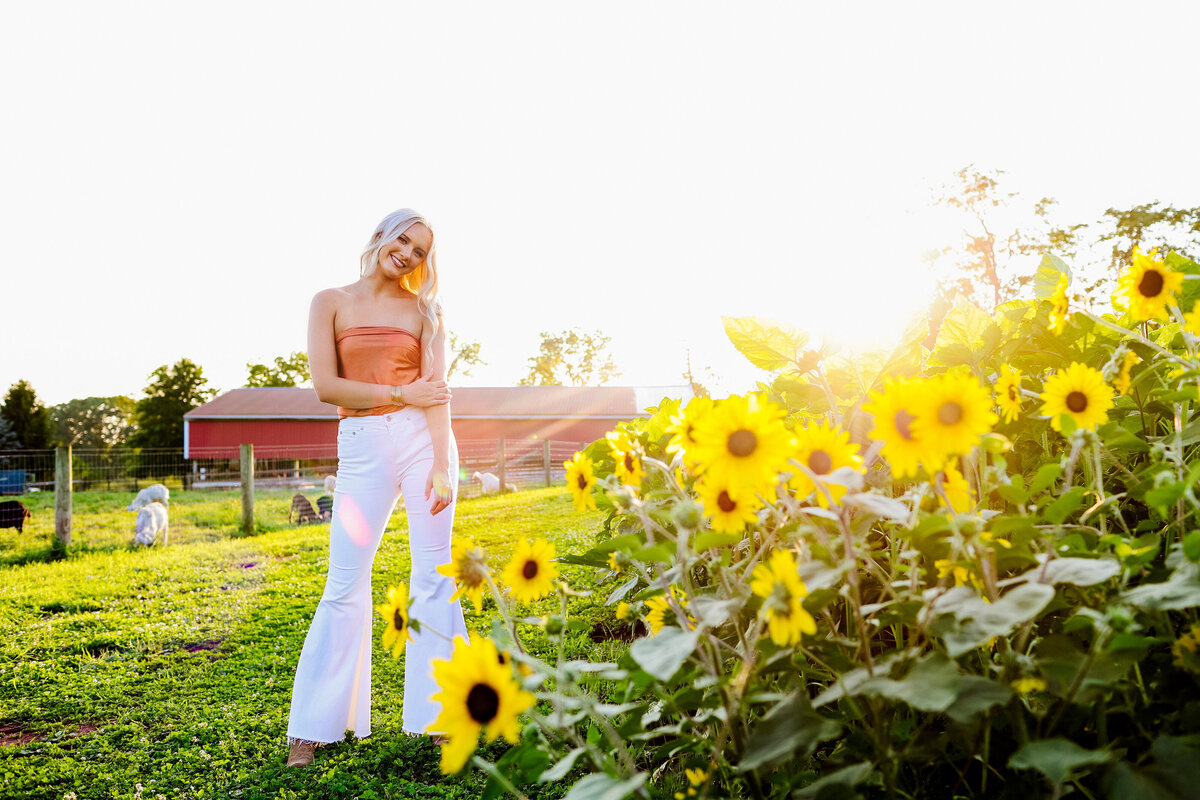 Dillsburg-Senior-Photos-Farm-sunflowers-sunset