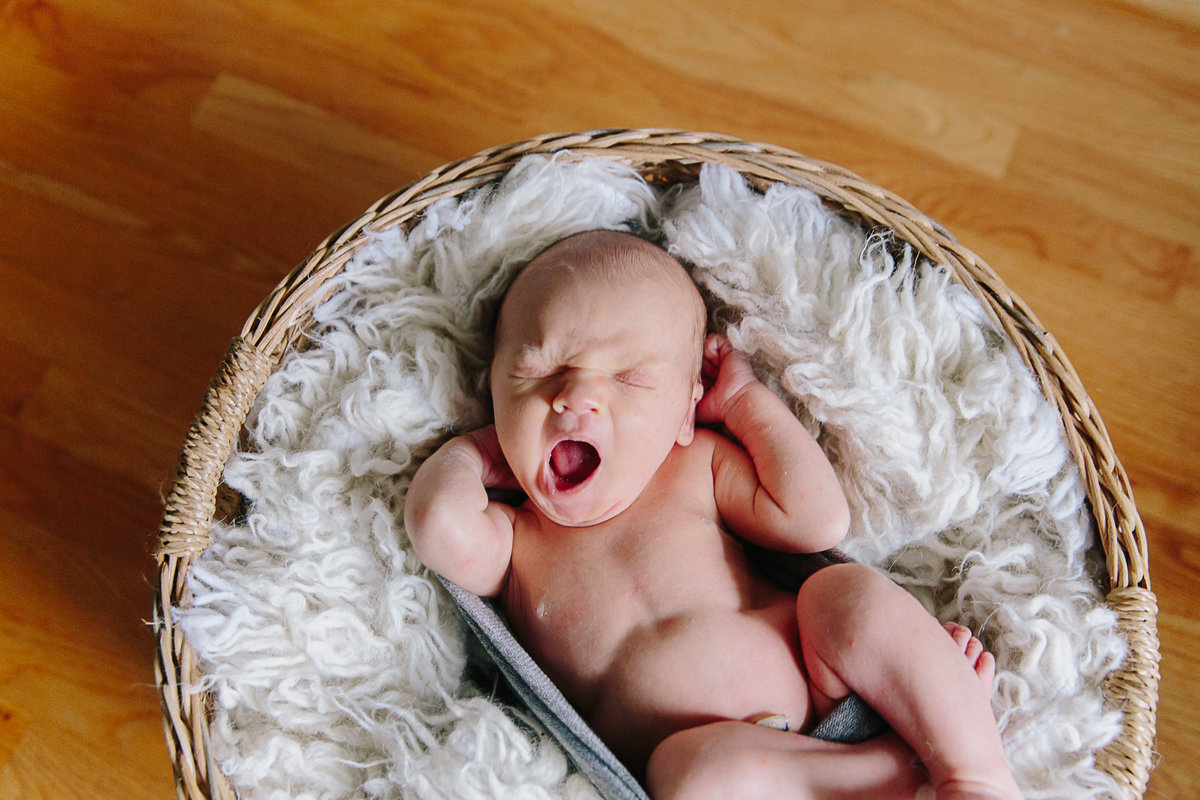 raleigh-in-home-newborn-photographer-wells-2211