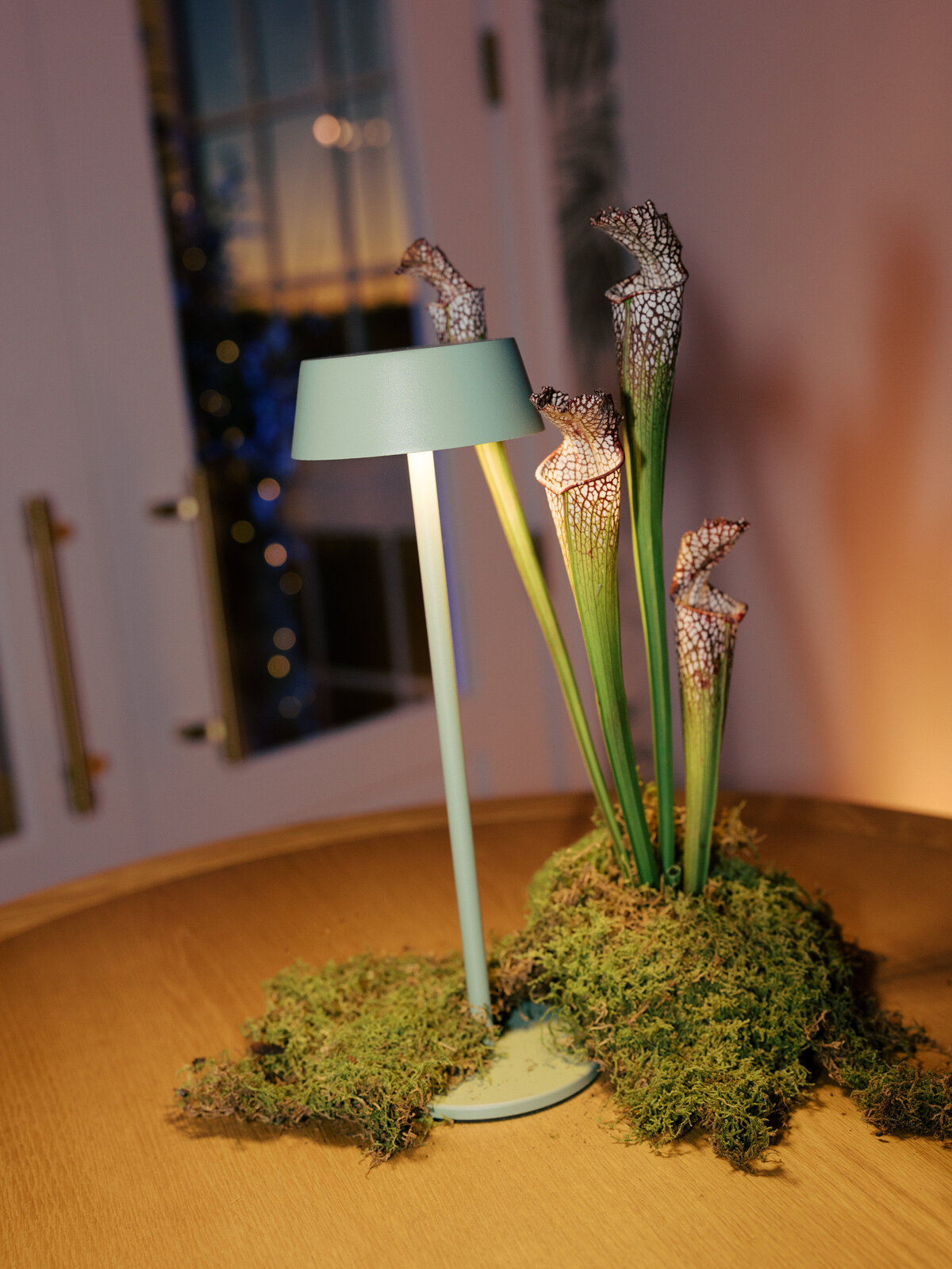 modern-table-lamps-at-gardiner-house