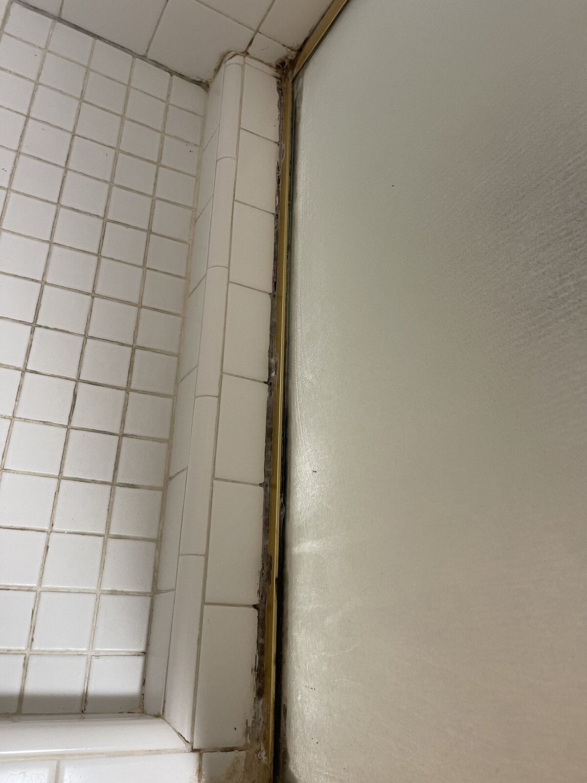 Full shower restoration -11