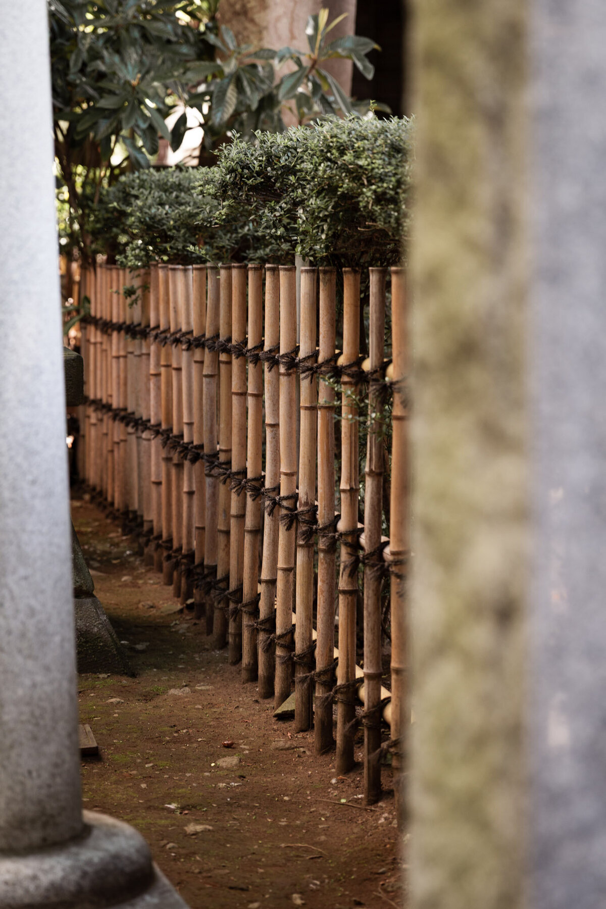 Japan for Website-16