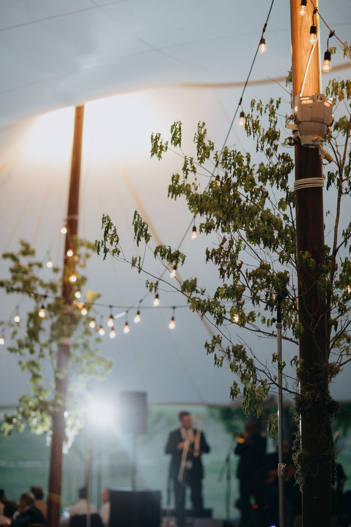ungareanwedding-731