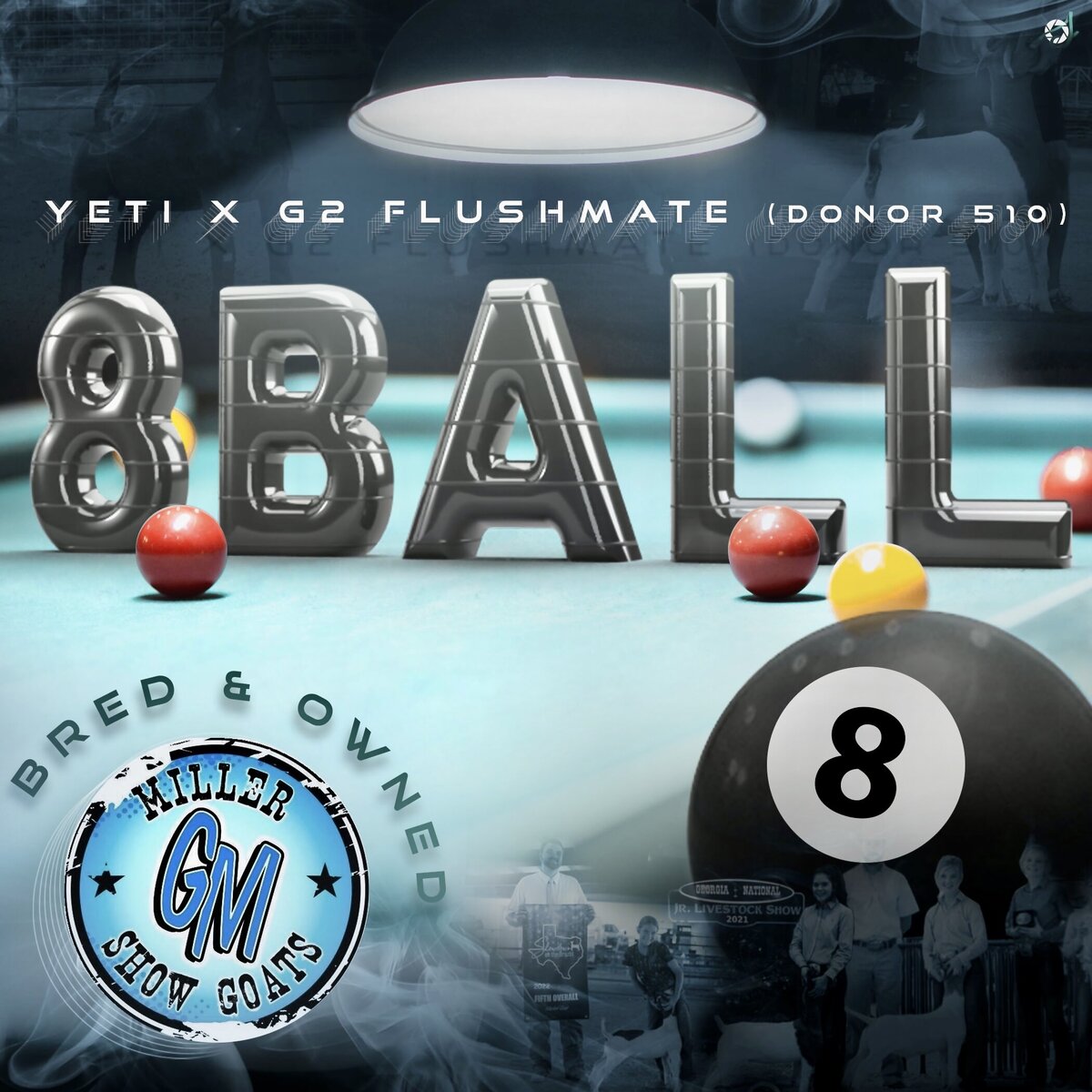 MSG_graphicBundle-8ball3.psd8-ball