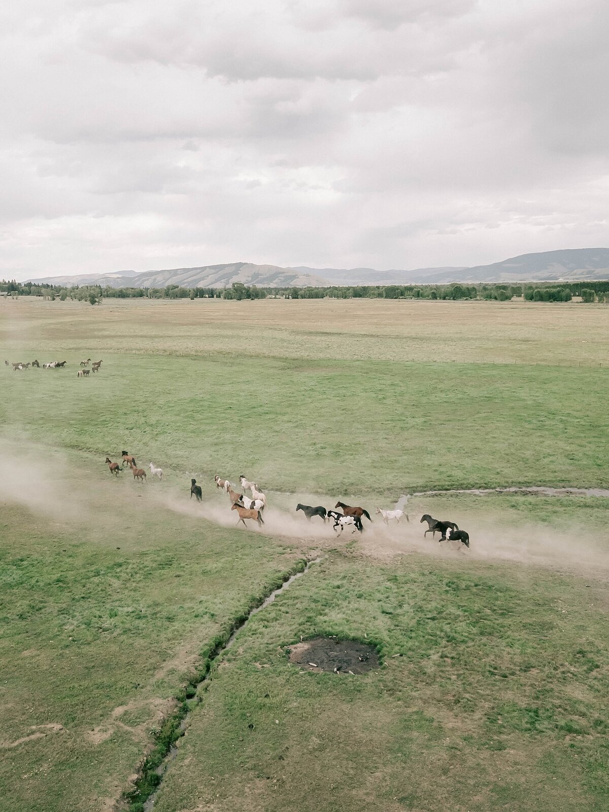 brush-creek-ranch-wedding_2622