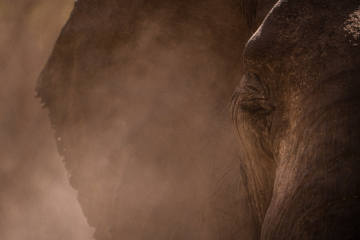 luxury-vacation-photographer-kirsten-lewis-arusha-tanzania015