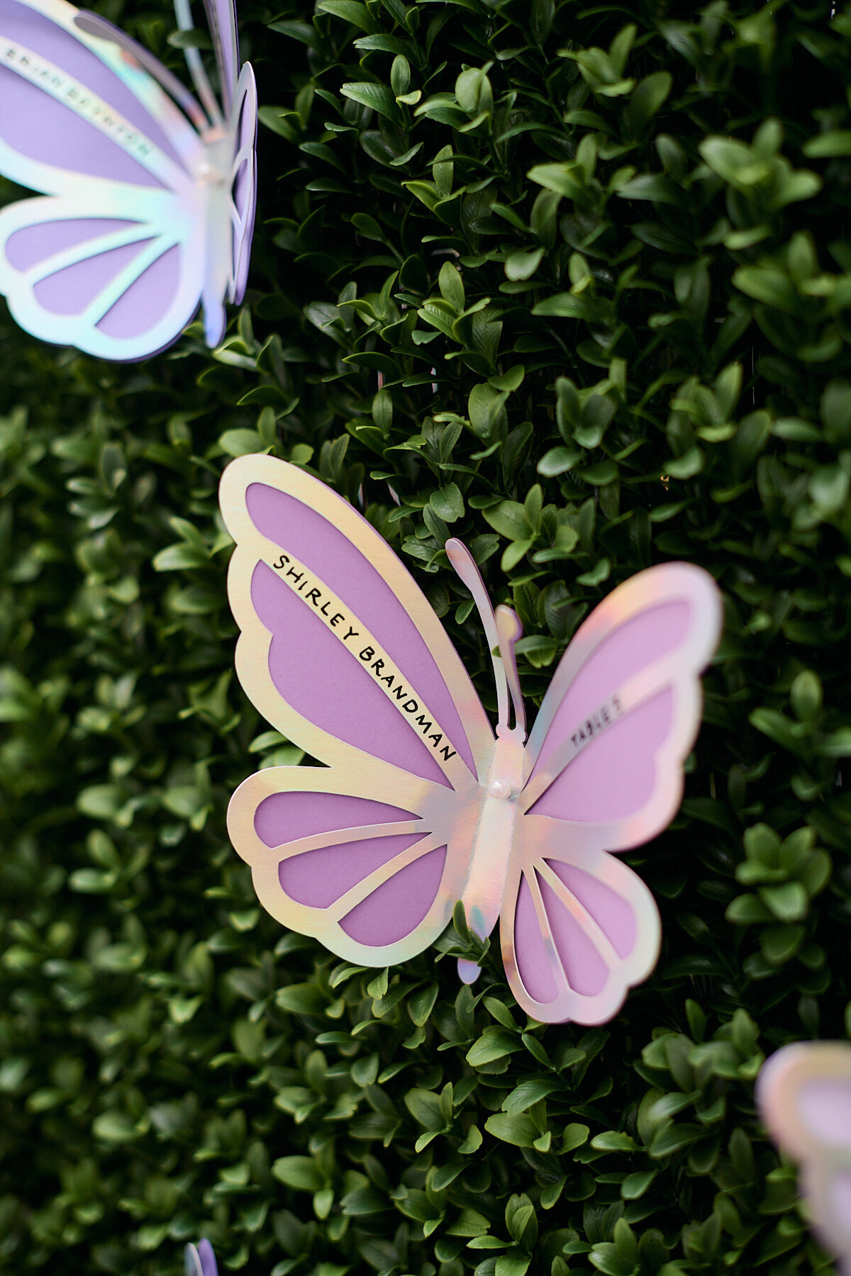 MagnoliaBluebird_DEbyMB_WonderlandfBatMitzvah_EliTurner00007
