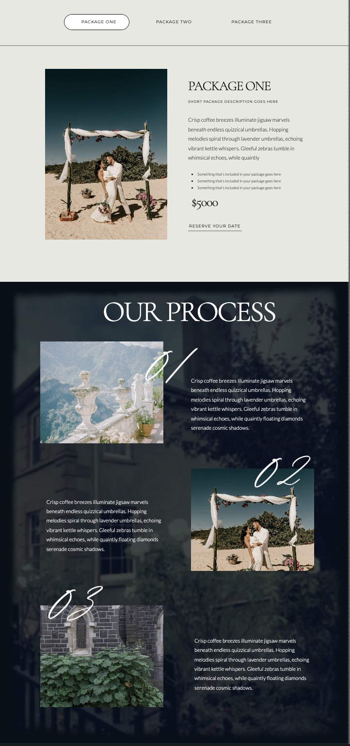 Website_Template_Showit_Sapphire_21