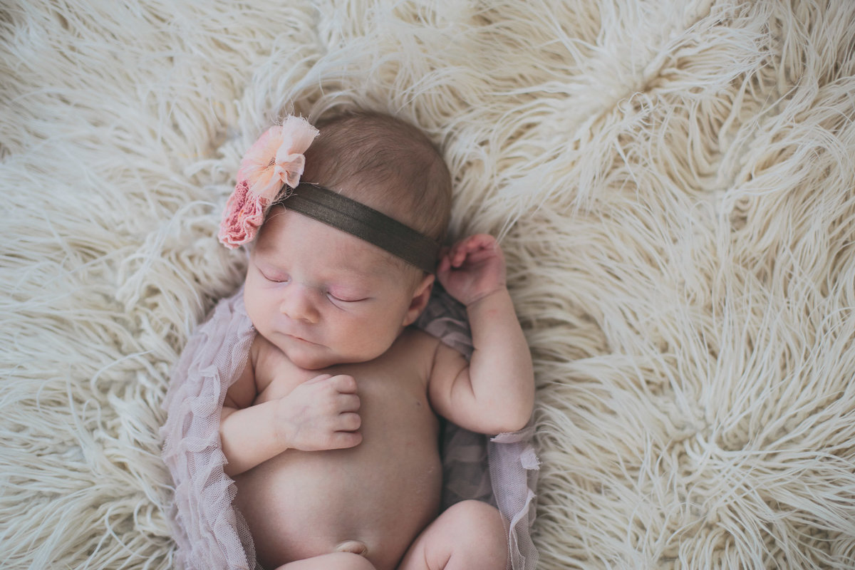 raleigh-Newborn-photographer-alexa61443