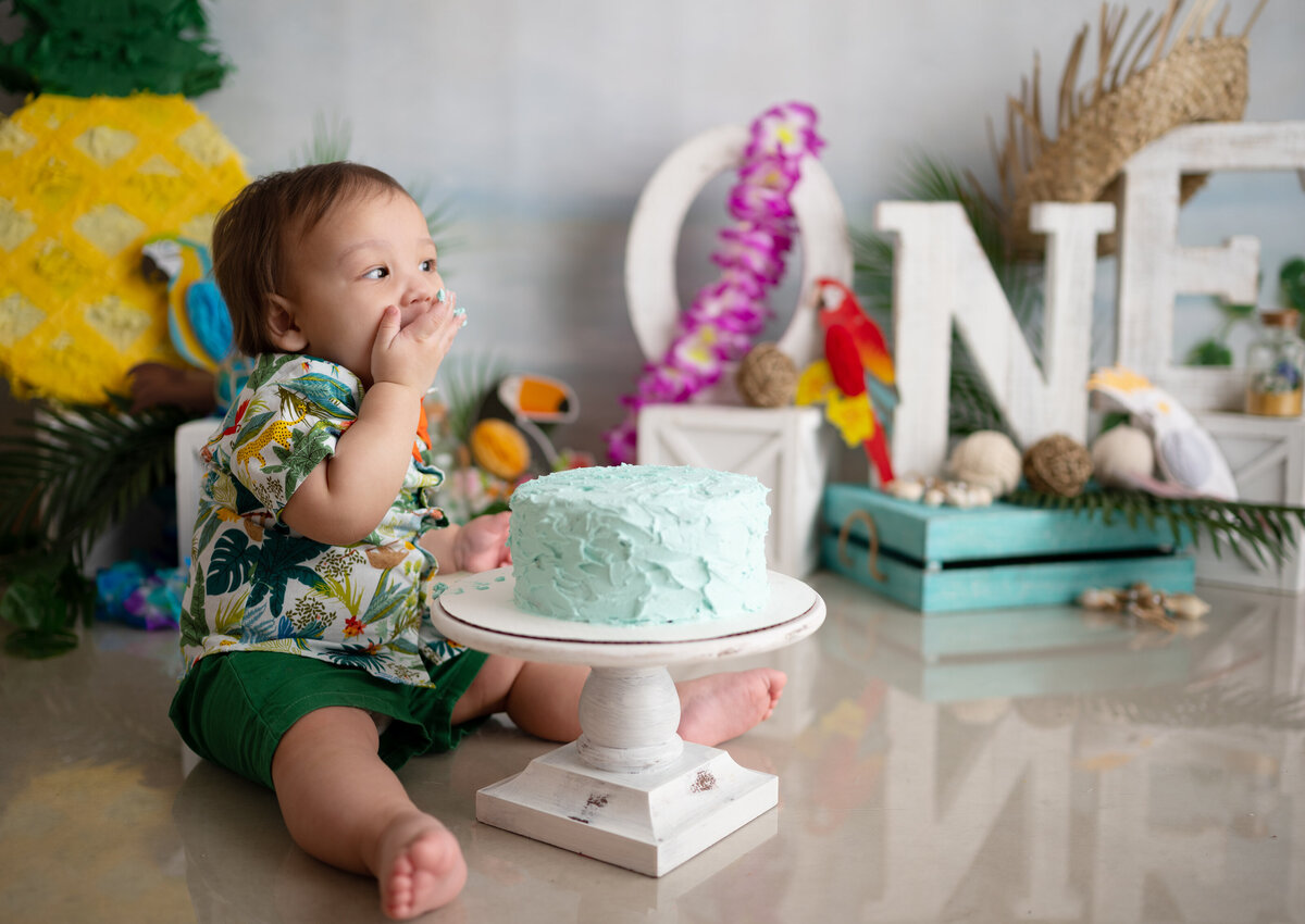 tropical summer one year cake smash theme