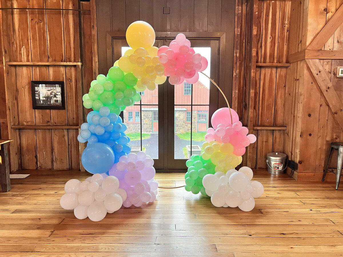 Rainbow Hoop 1