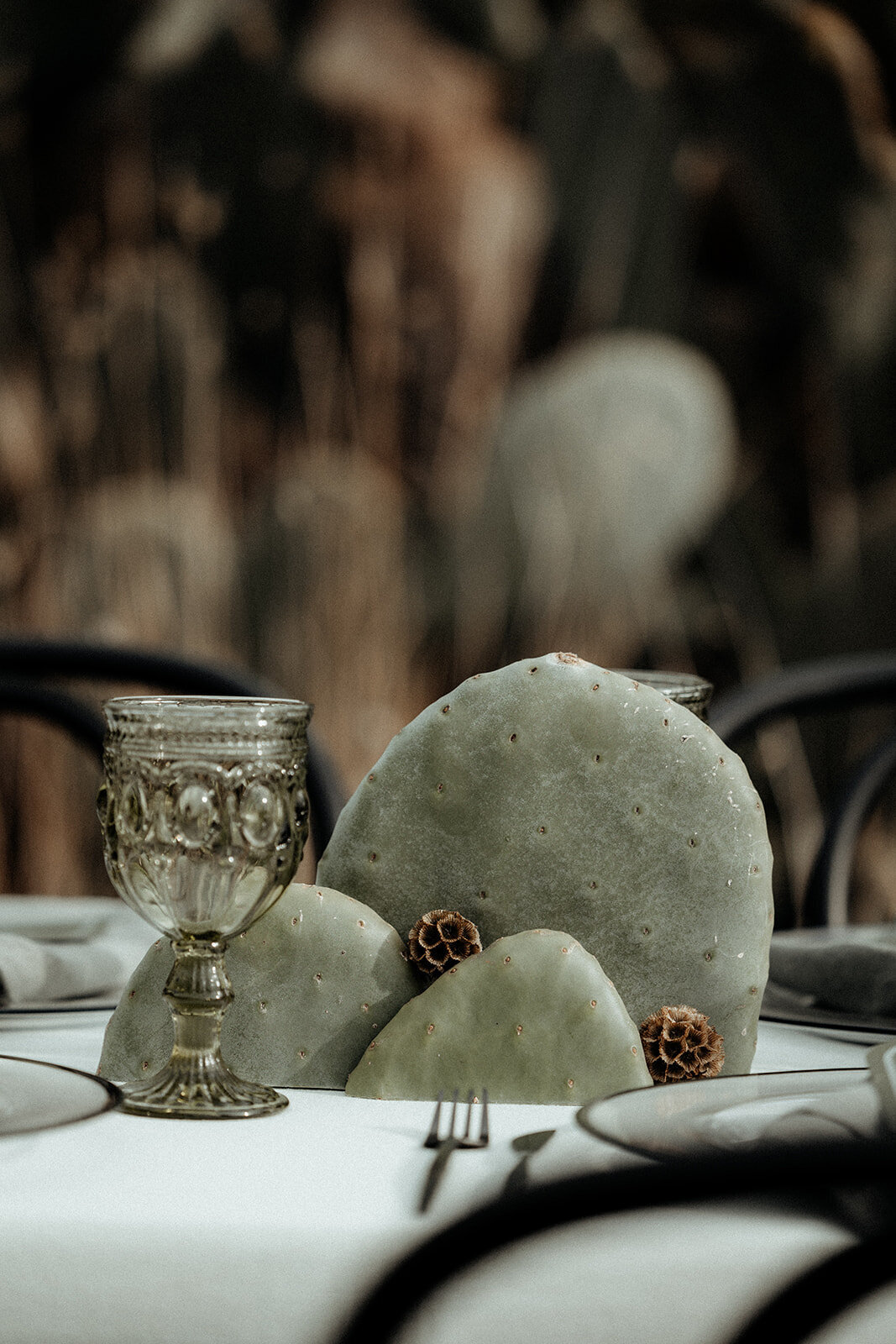 Maegan-Brown-Moments_220525_Waranga-Styled-Shoot_0084-2