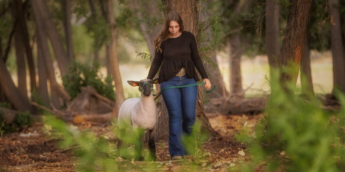 girl walking lamb through forest