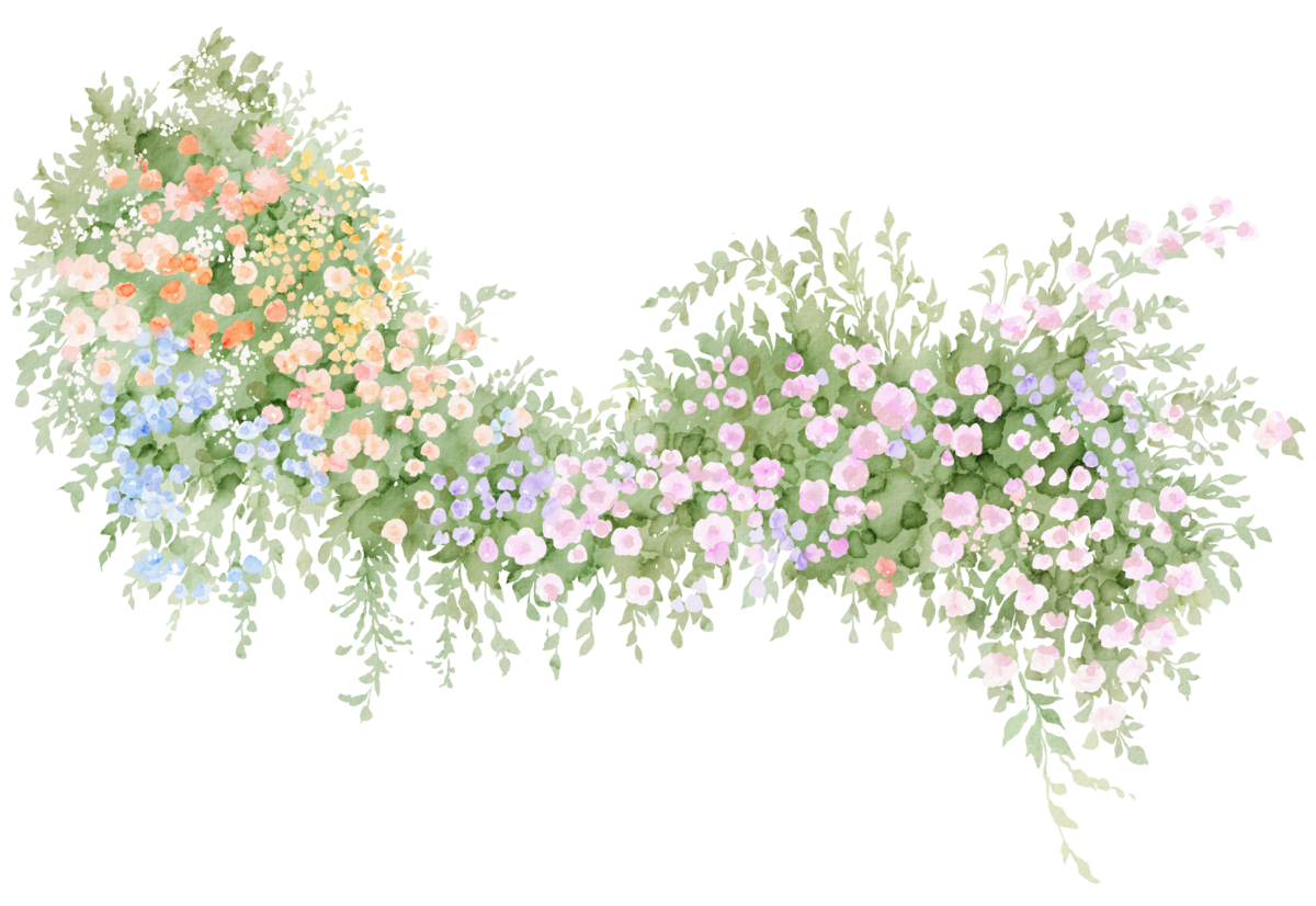 Watercolor floral drawing for The Curated Frame.