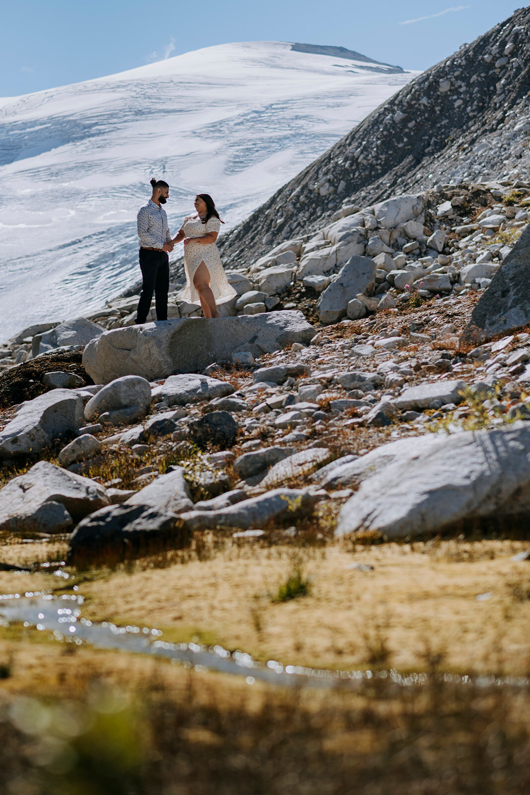 Ipsoot Glacier Proposal Henna + Raman10
