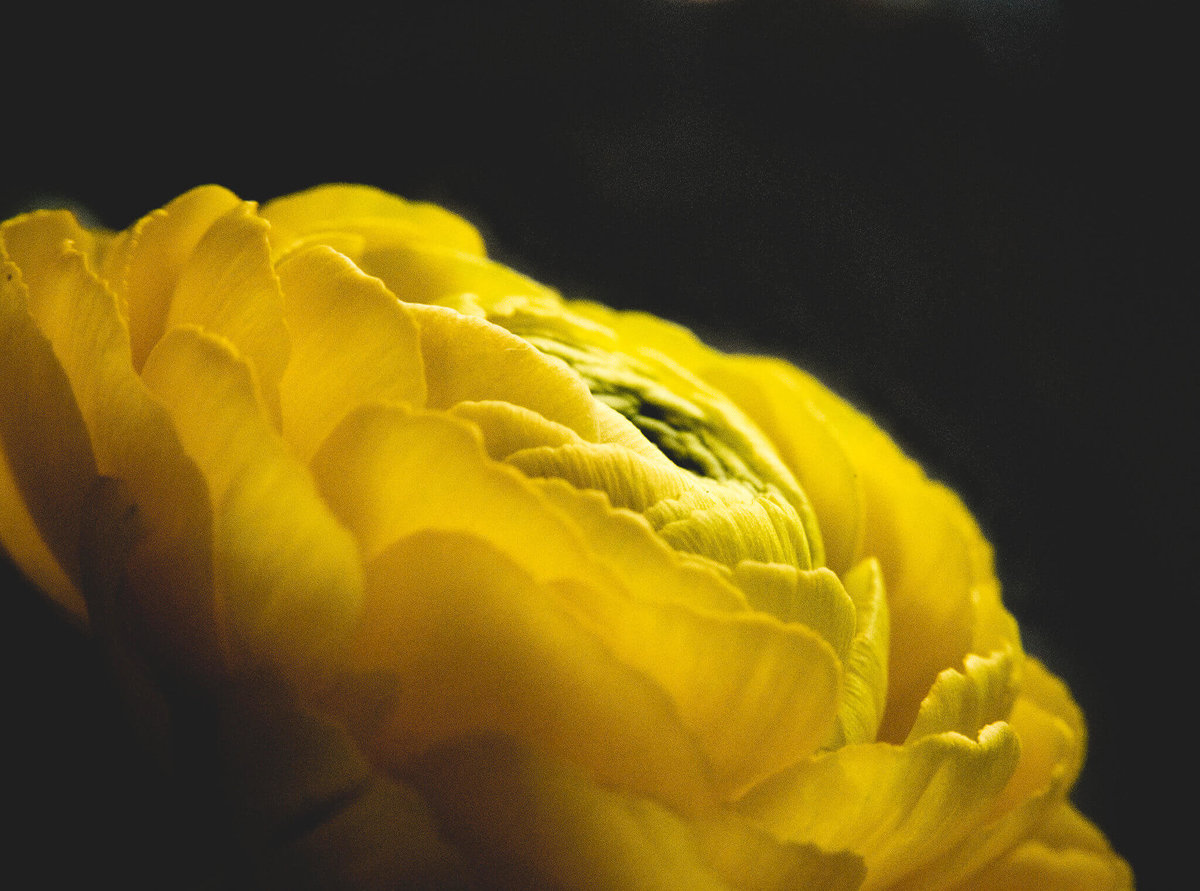 personal_32927182805_be0718b2f9_o