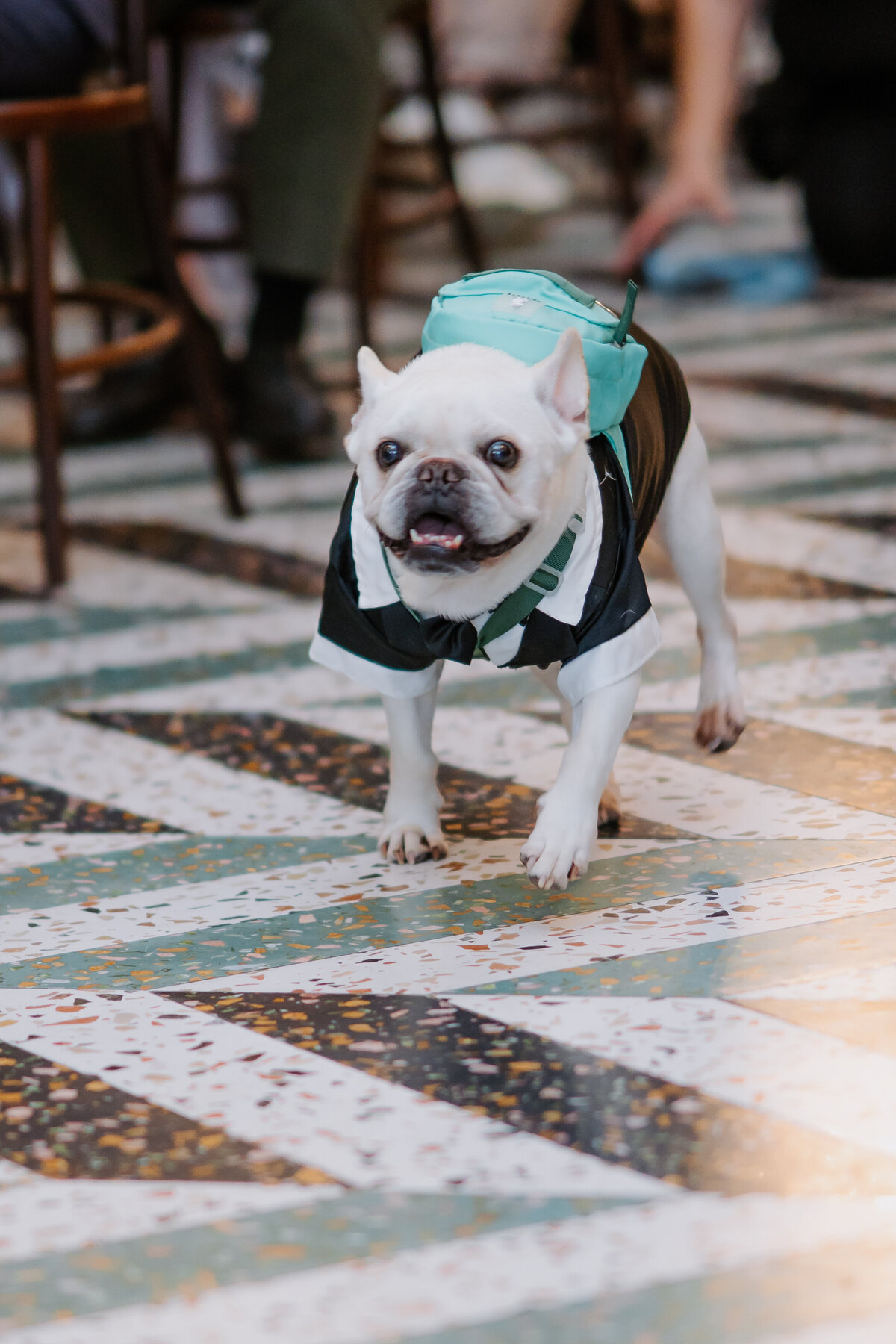 A&J Cloudland Brisbane Wedding-338