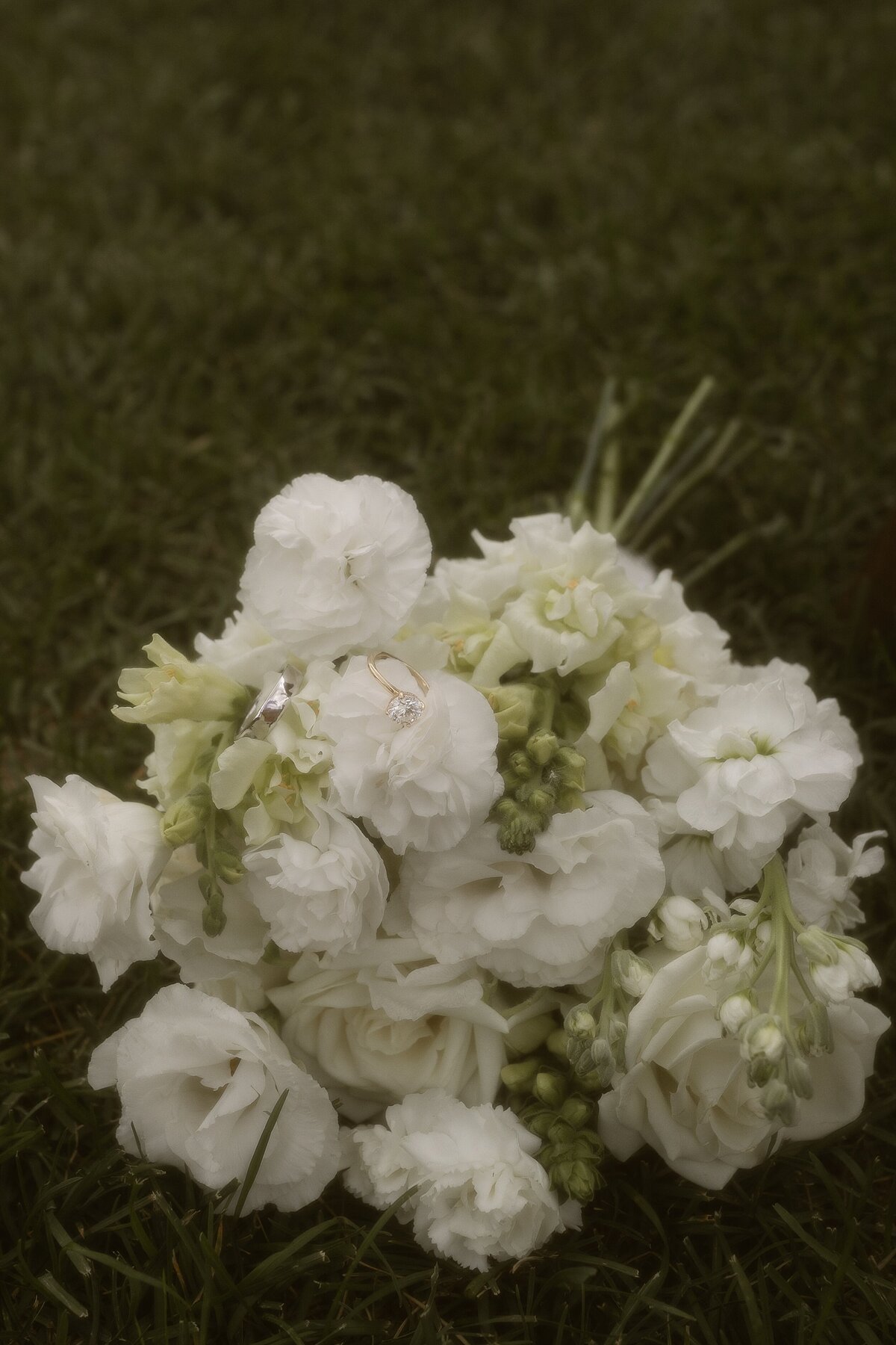 9670706625.jpg_exif1