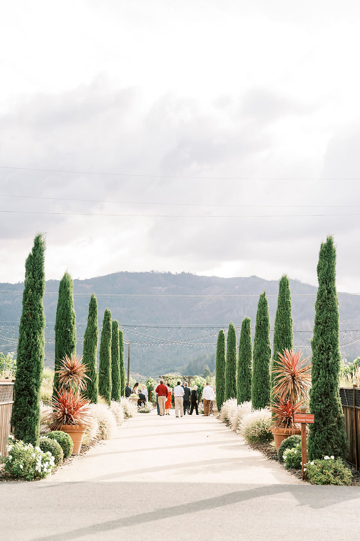 Wine Barrel and Arch Design