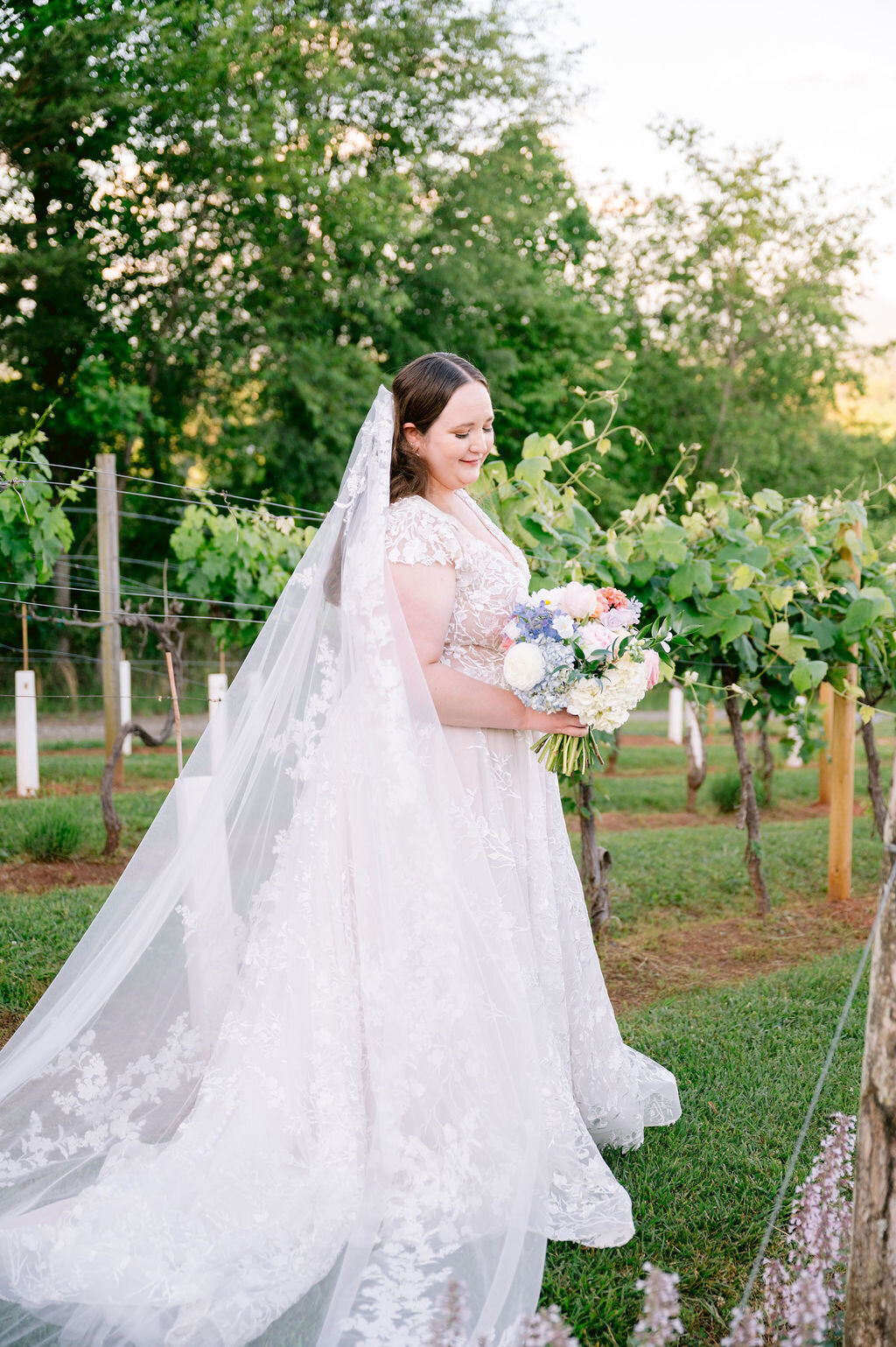 Zaversnik-Wedding-569