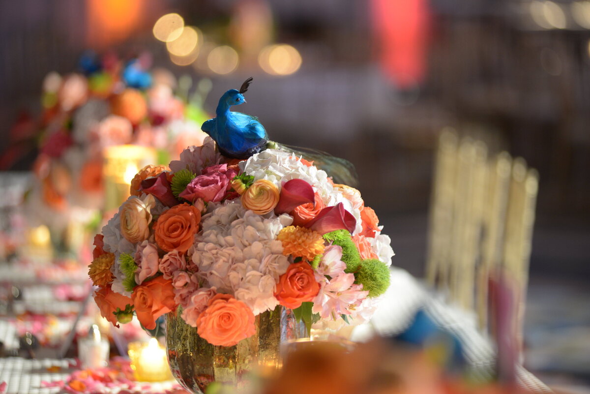 orlando-party-planner-092