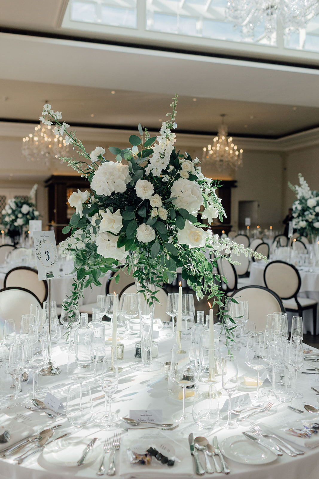 Cashel-palace-wedding-photographer_054