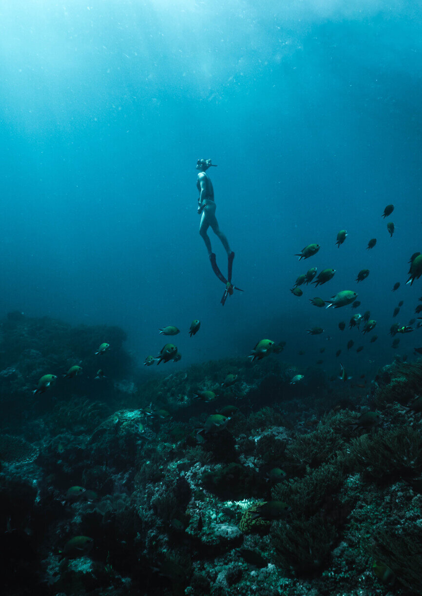 Waterstone - Capitolo Riviera - Nervi - Luxury Boutique Hotel - diving capitolo