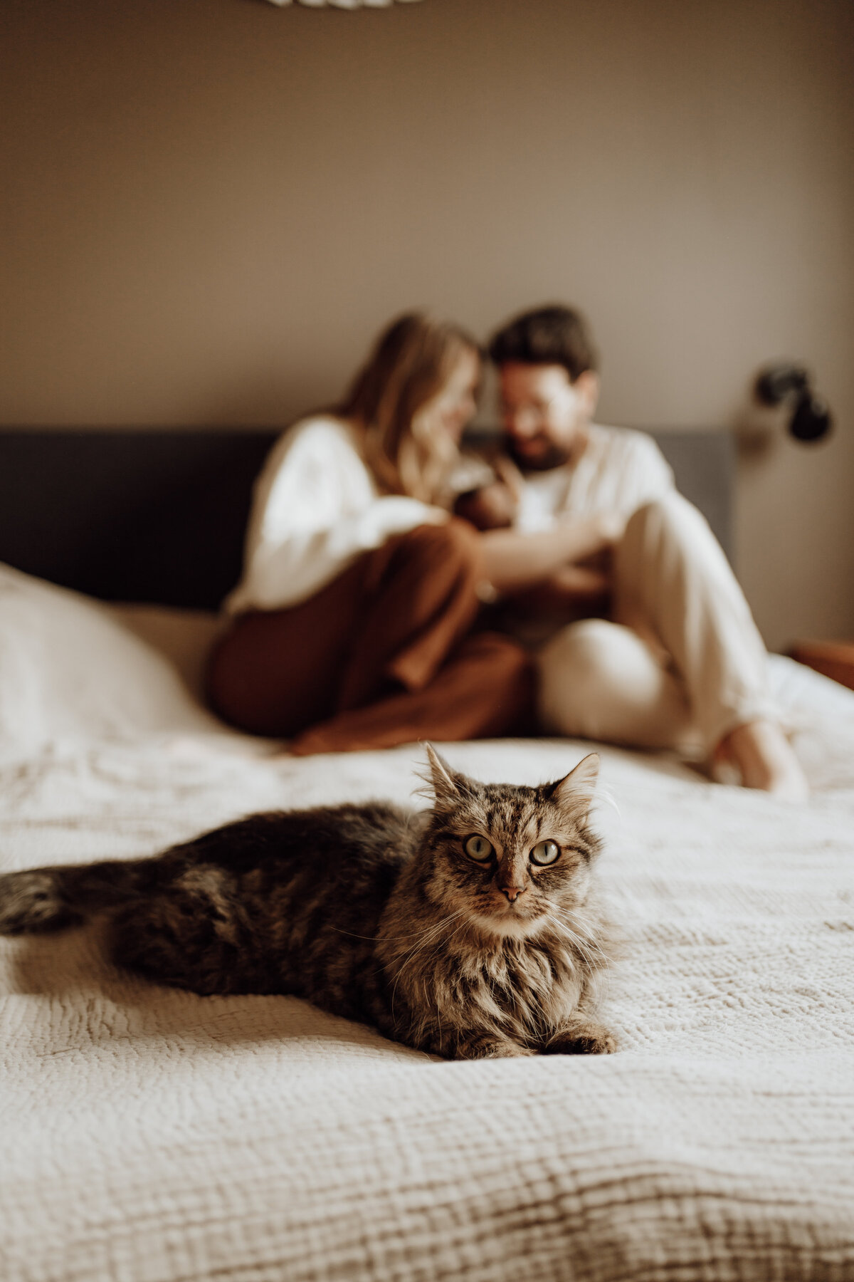 Celinetruijenphotography31