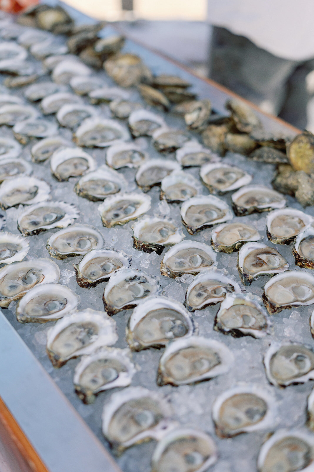 cocktail-hour-cape-cod-wedding