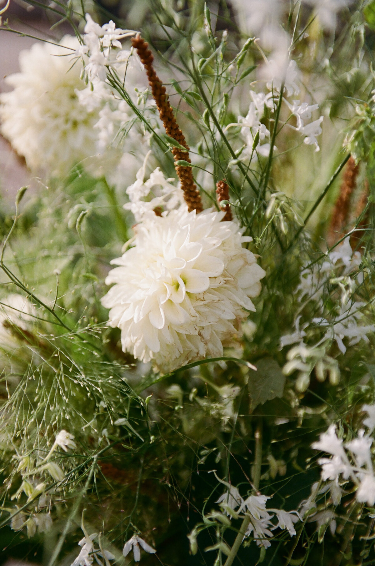 Blue Sky Auberge Wedding-56