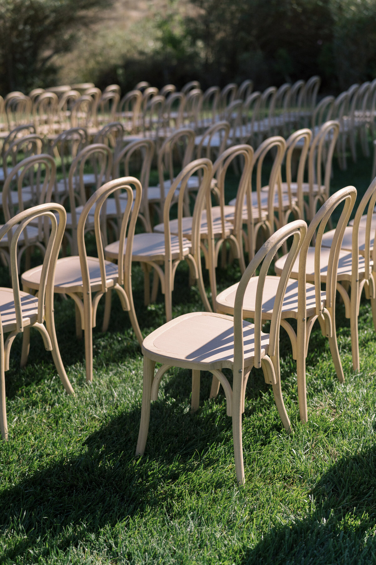 Napa Wedding Photographer 