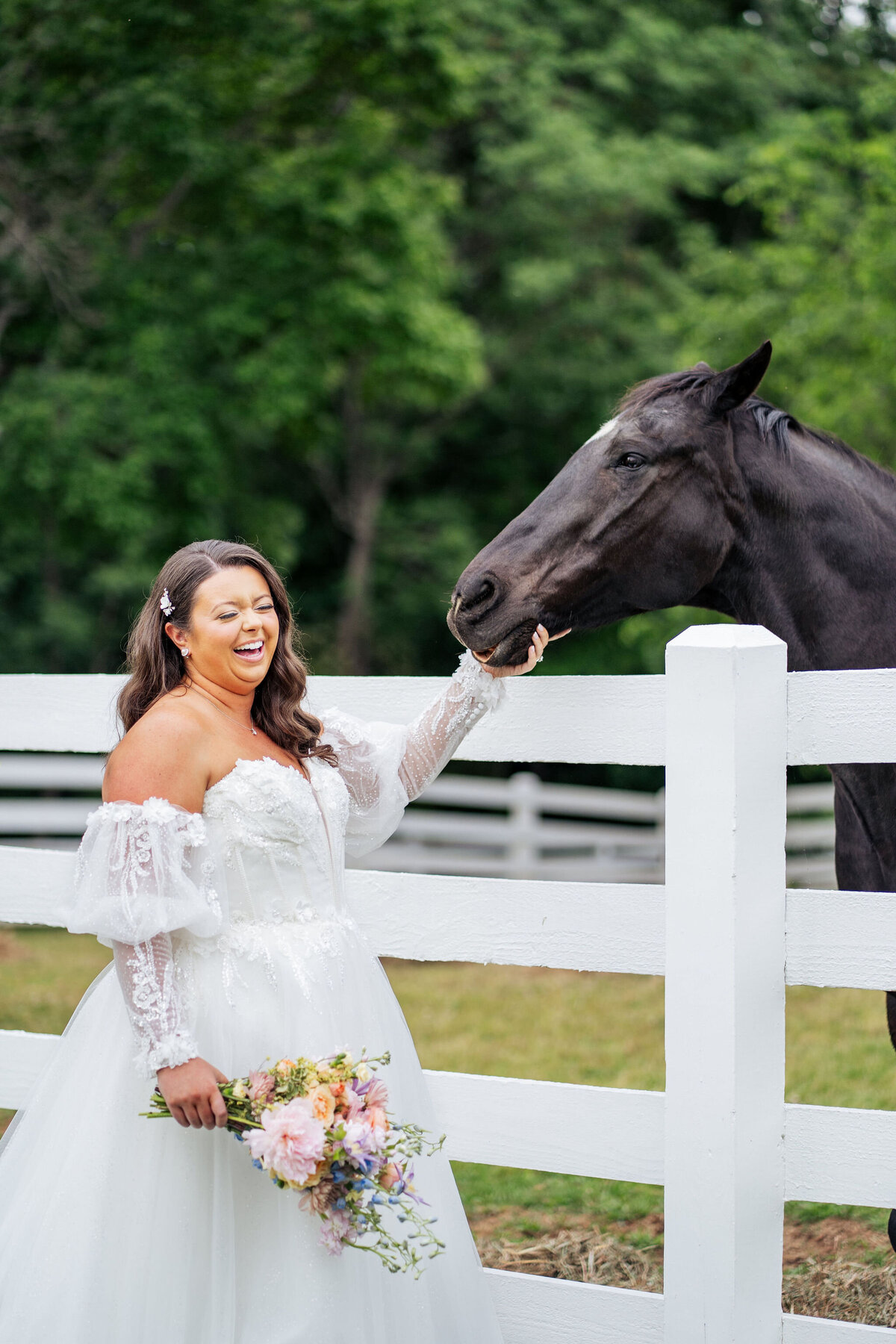 bride laughs petting horse at Historic Wakefield Barn