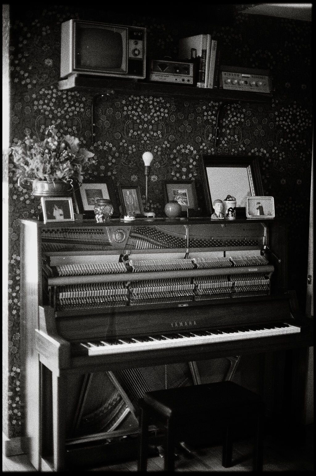 NYC photographer Daniel Silbert 2