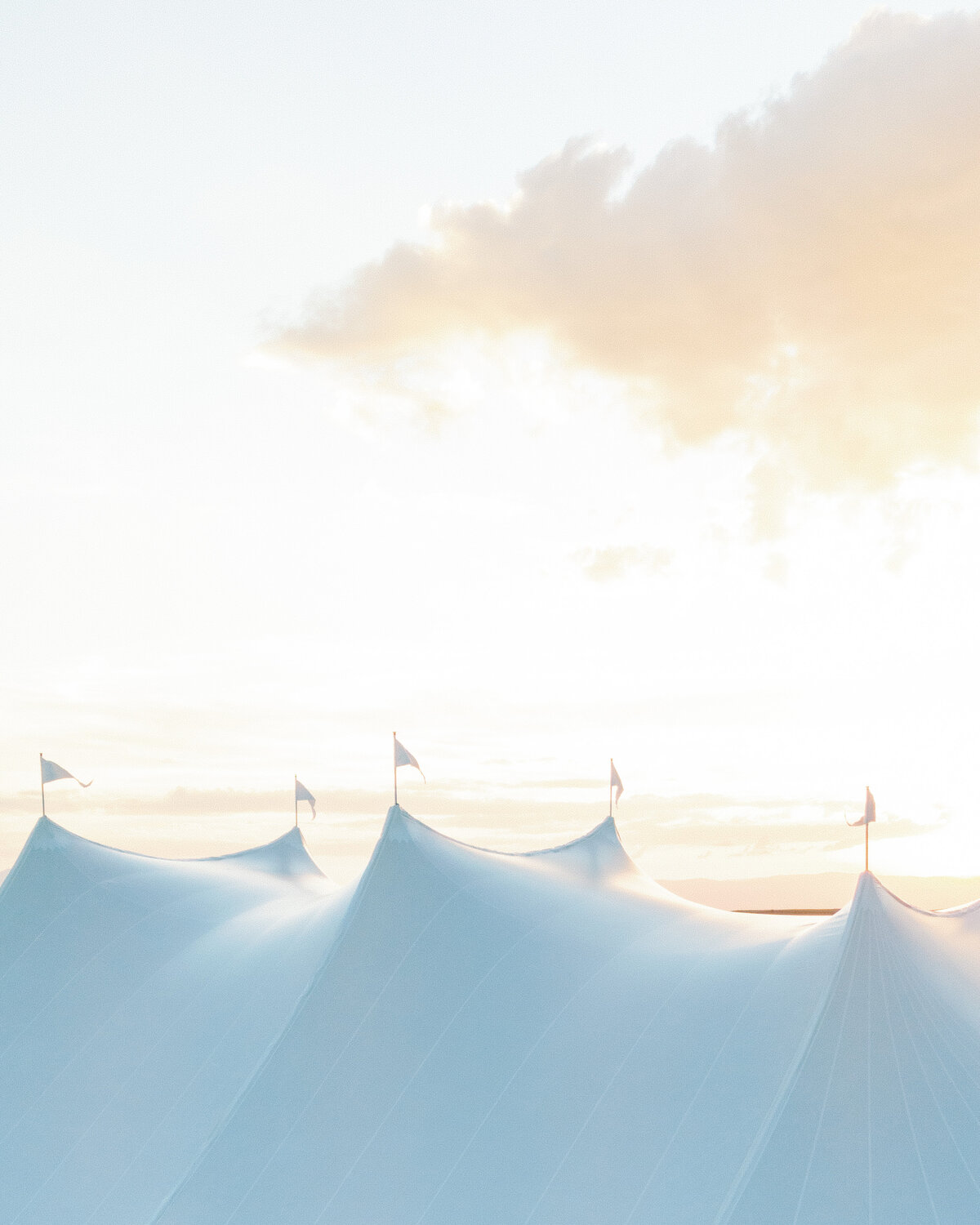 Kelley & Josh - Website Highlights-194