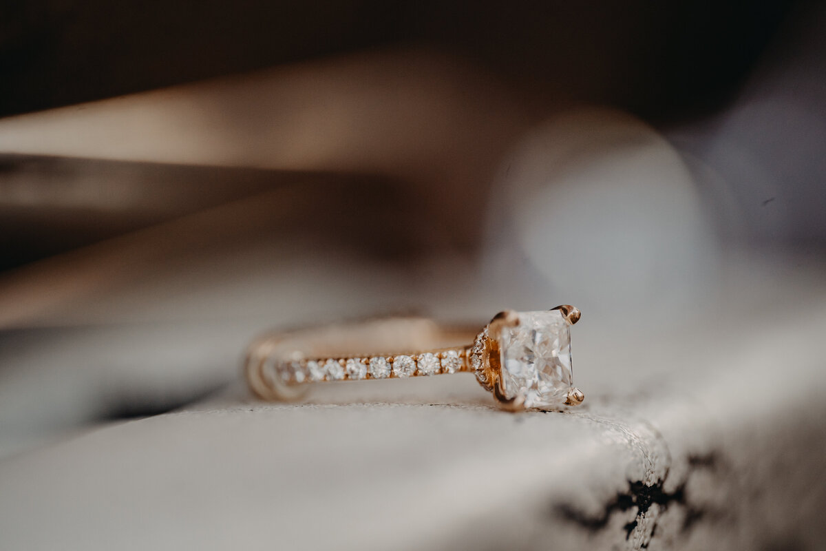 LAUREN+CALVIN-99