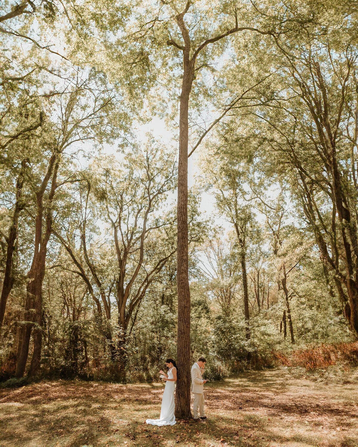 Bride and groom standing back-to-back, reading letters to each other under a tall tree