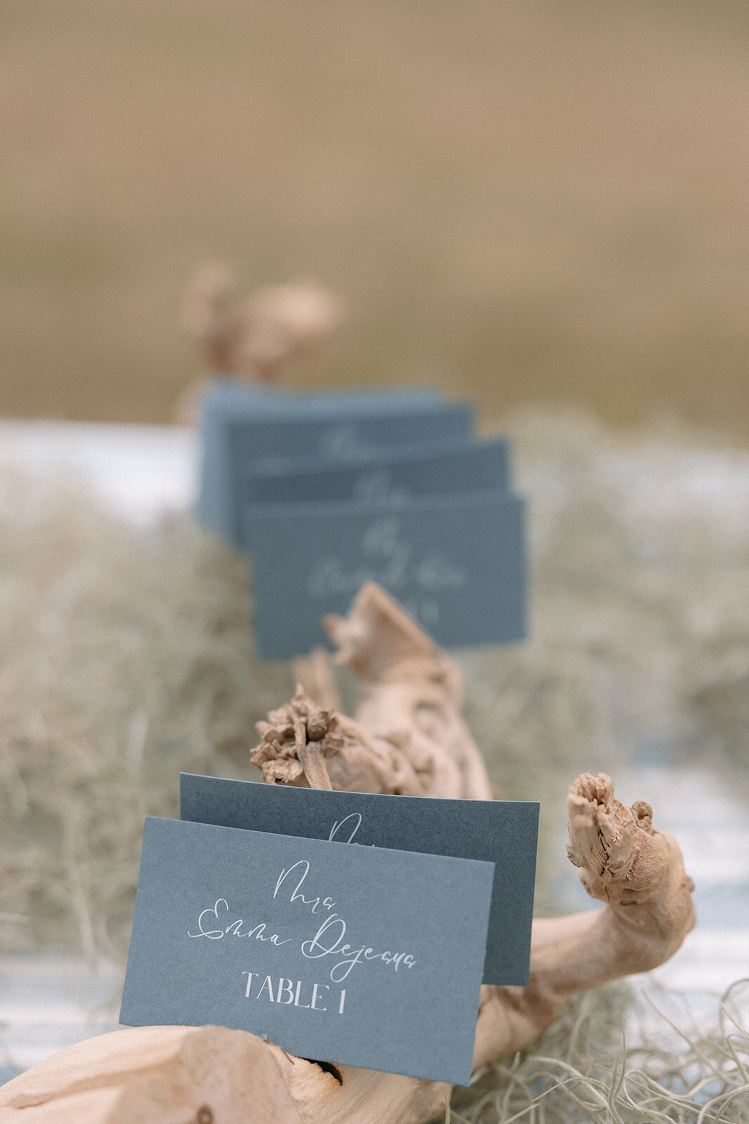 SCP_martha_s vineyard-21_websize