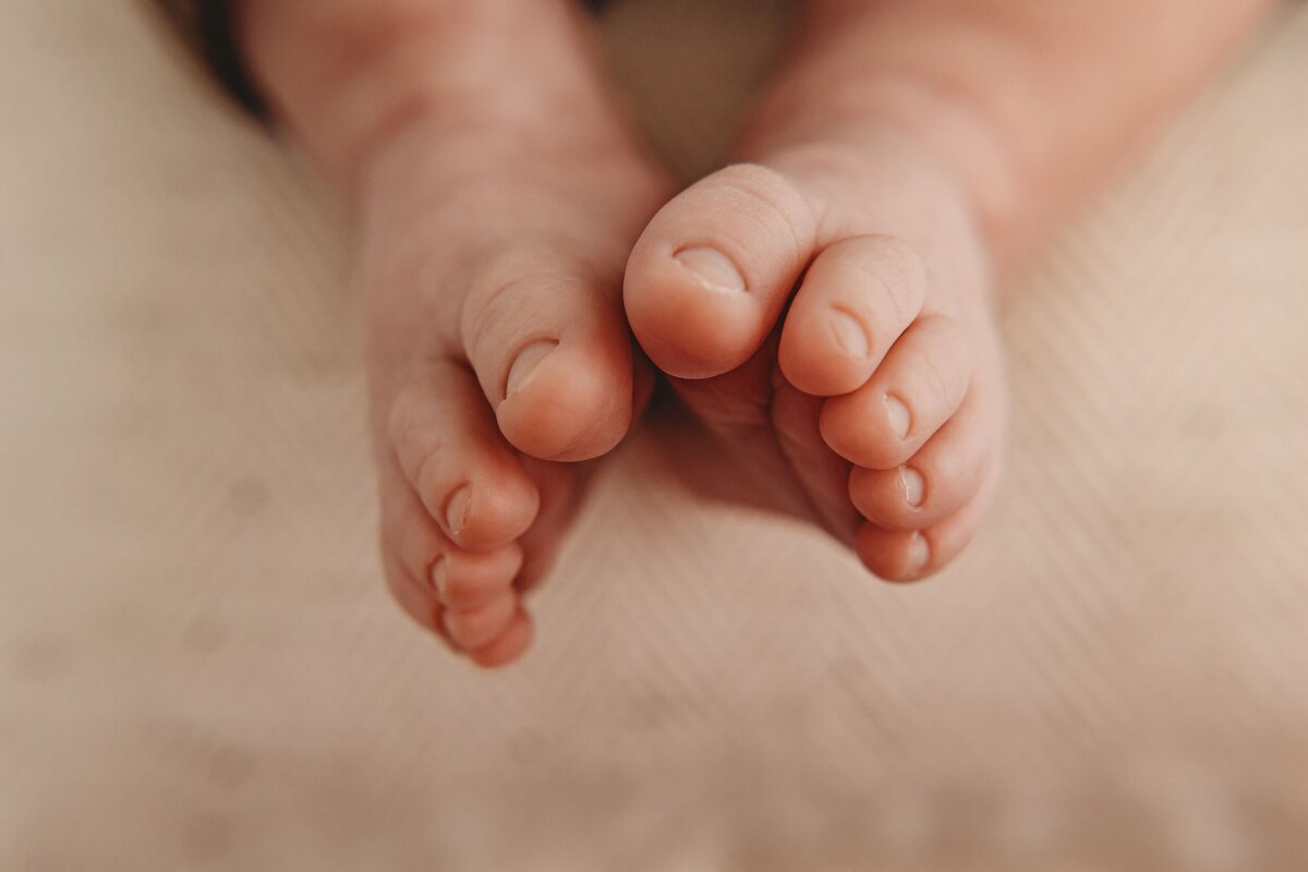 newborn_toes_macro