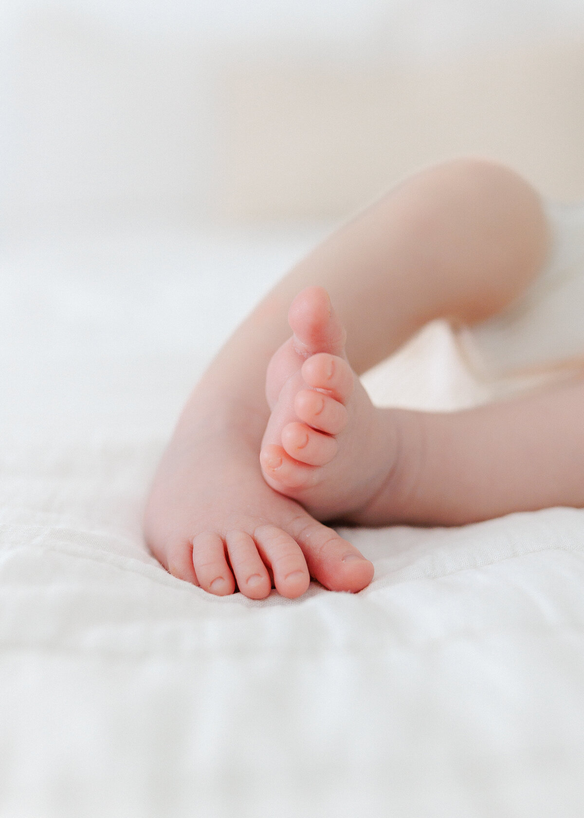 Lehmann Family - Newborn Session-Turlock-CA-GimenoBrown-Photography-3695