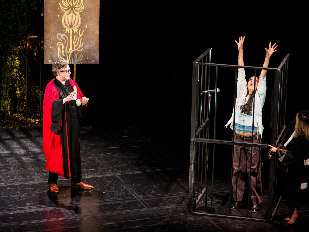 ROBIN  TPV_2130369-Enhanced-NR