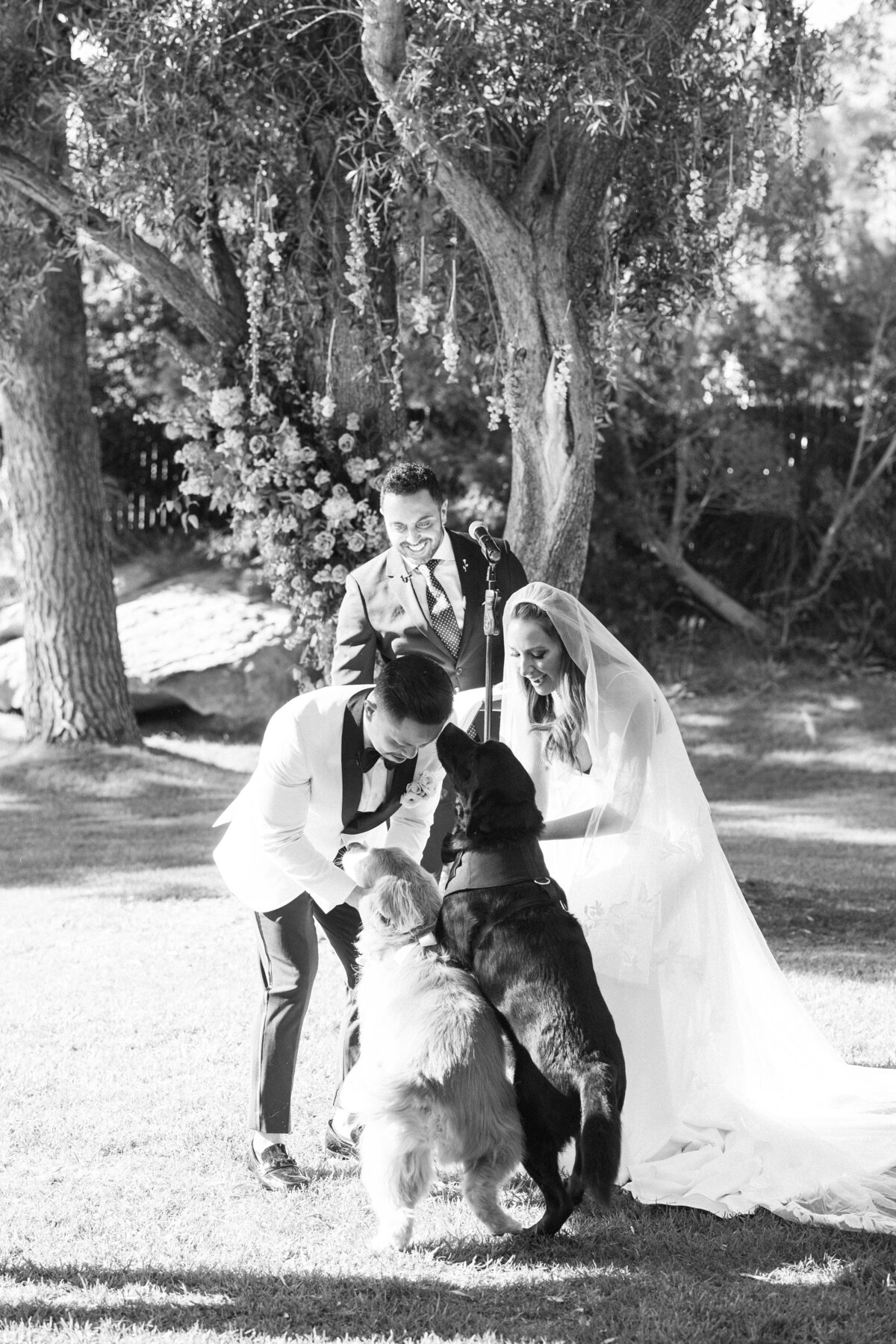 Best California Wedding Photographer-& Co by Jodee-Jodee Friday & Co-288