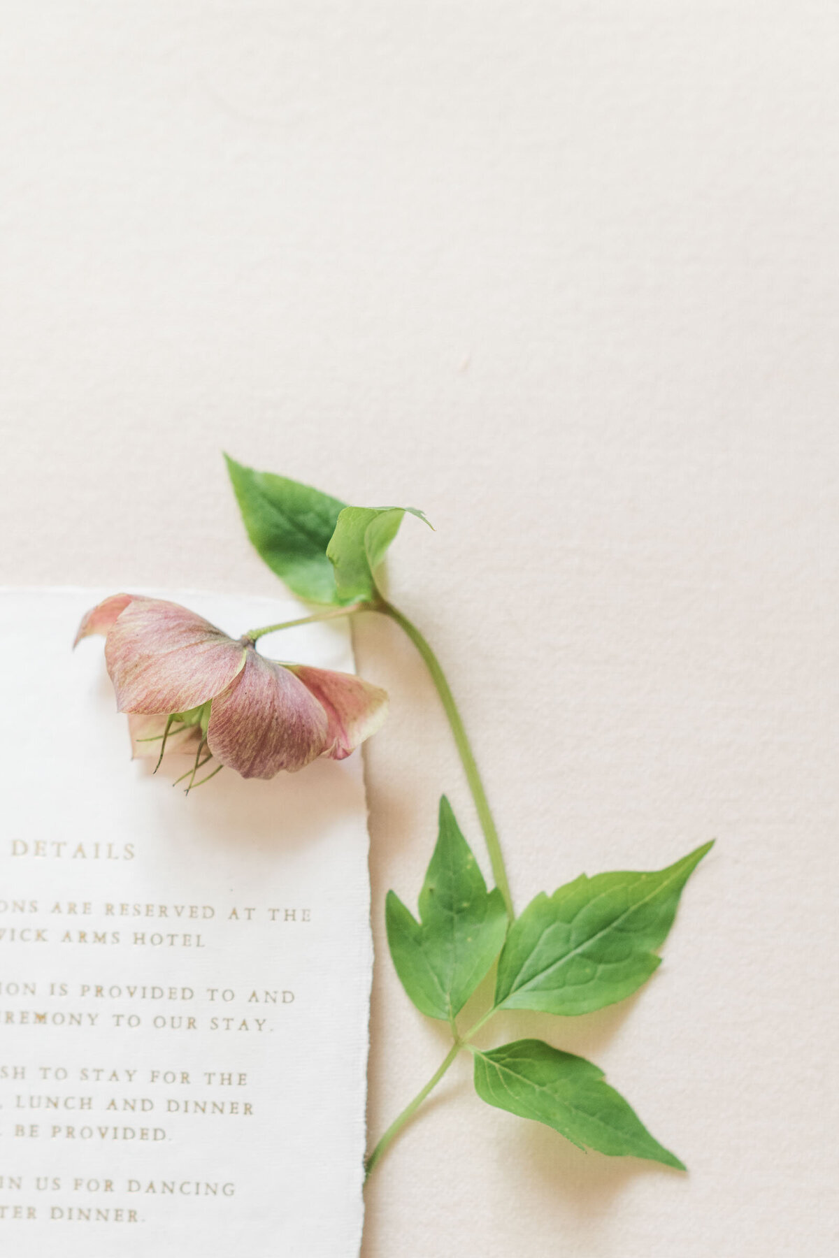 Sydney_wedding_photographer_SugarTreePhotography_Portfolio_0003