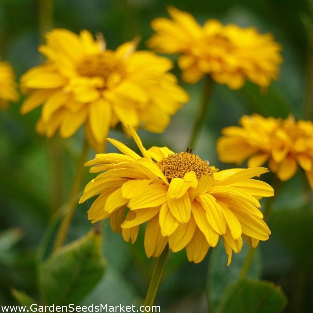 shutterstock_225878626