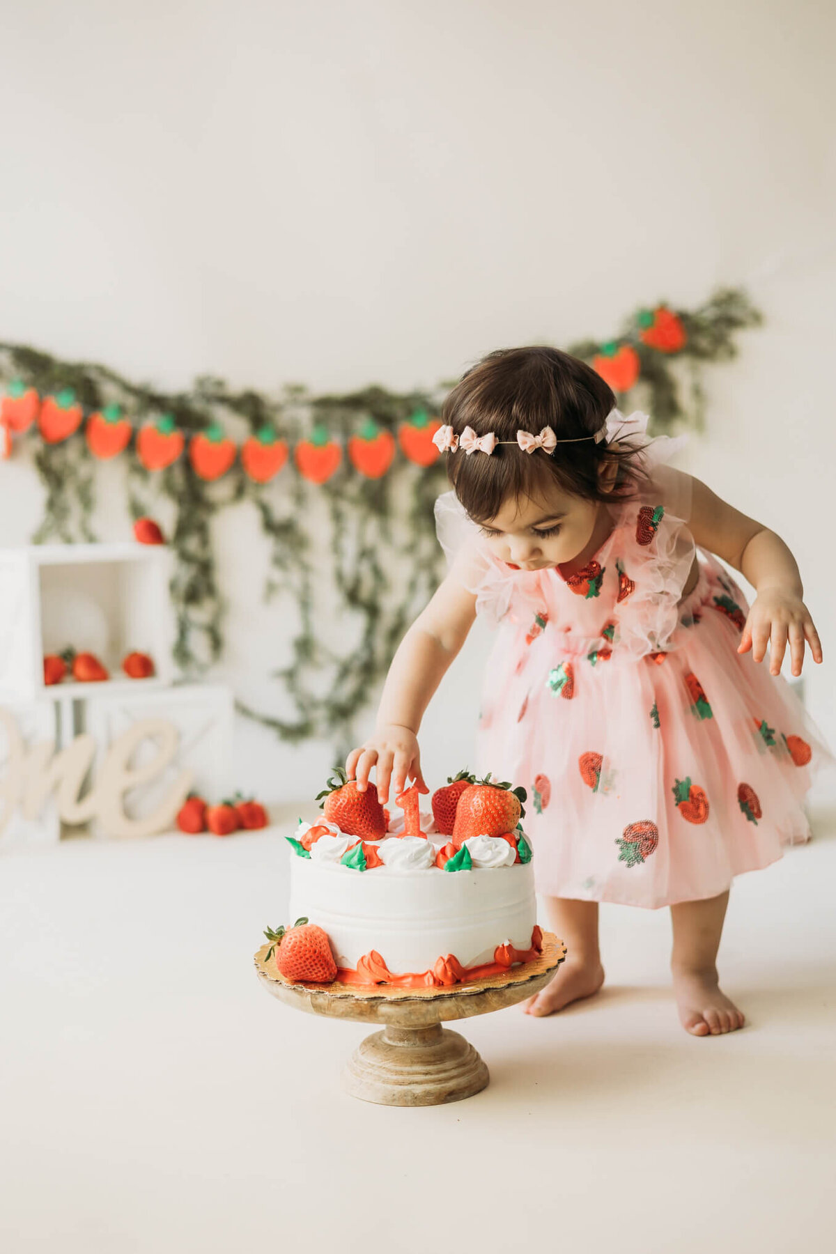 harrisburg-cake-smash-photographer-17