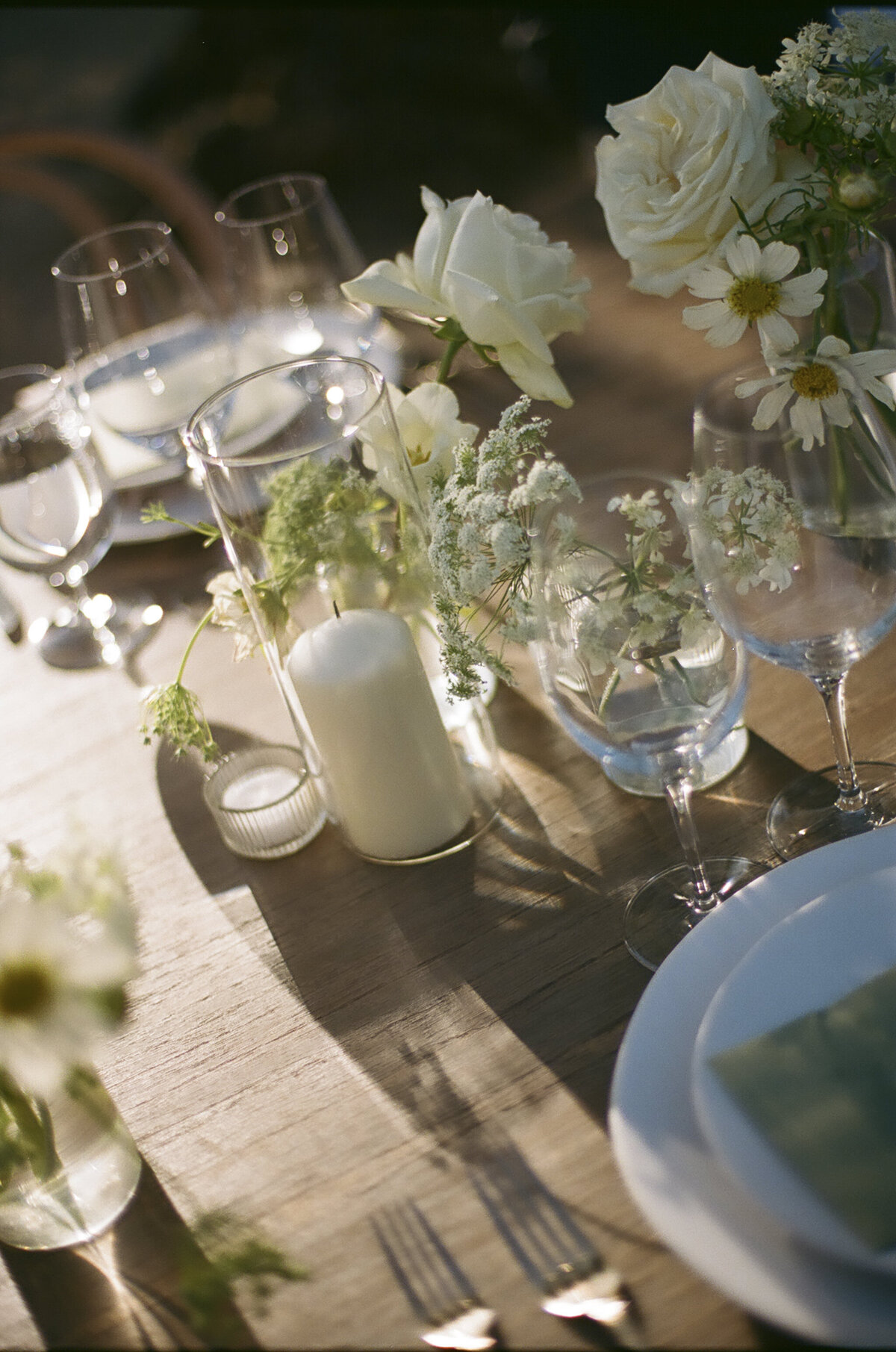 Film Paso Robles Wedding Photographer-12