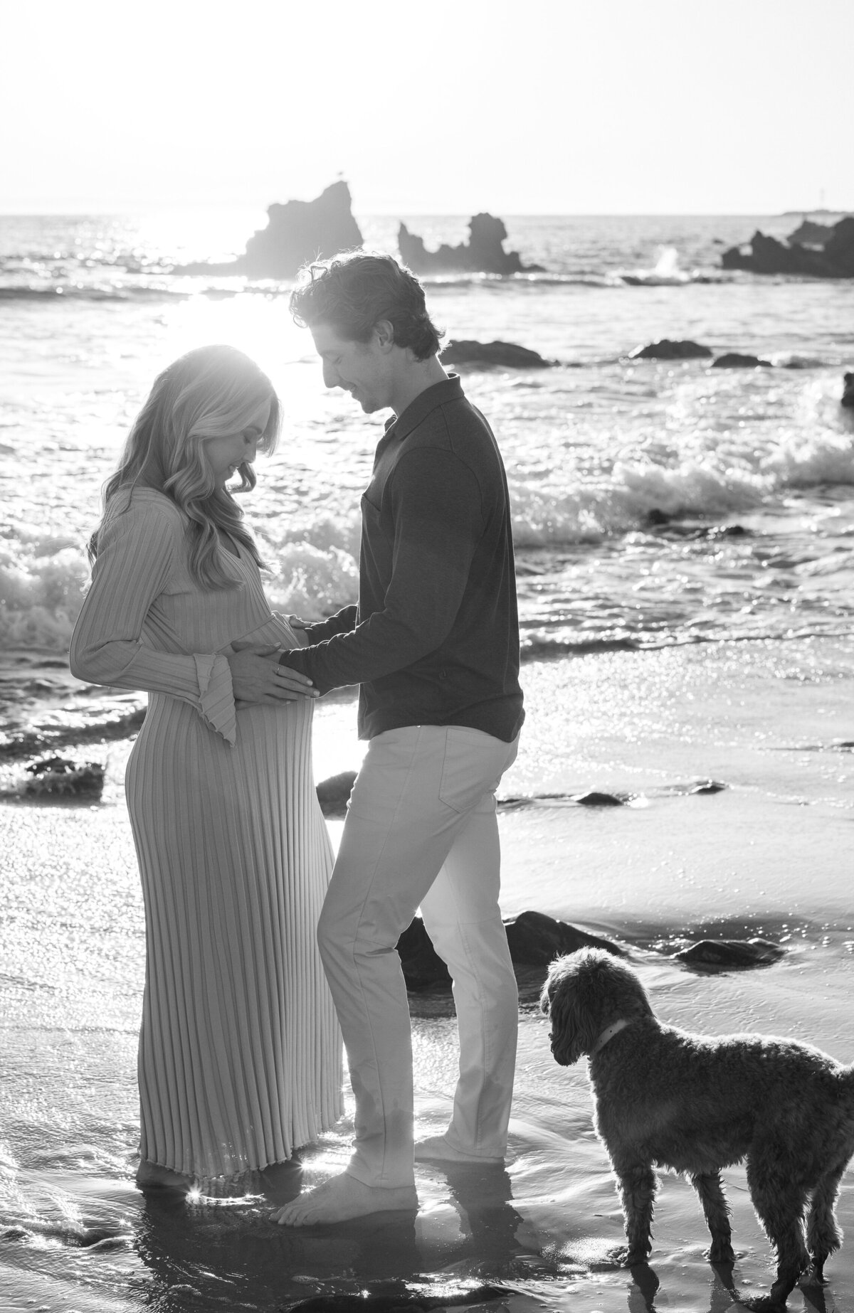 moody black and white maternity photo with dog on the beach