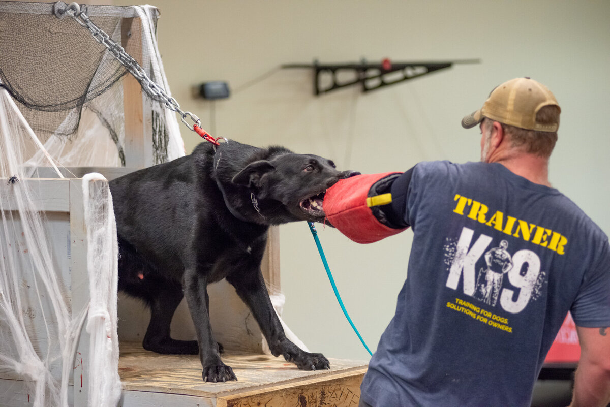 troy missouri, st louis missouri, commercial and branding photographer