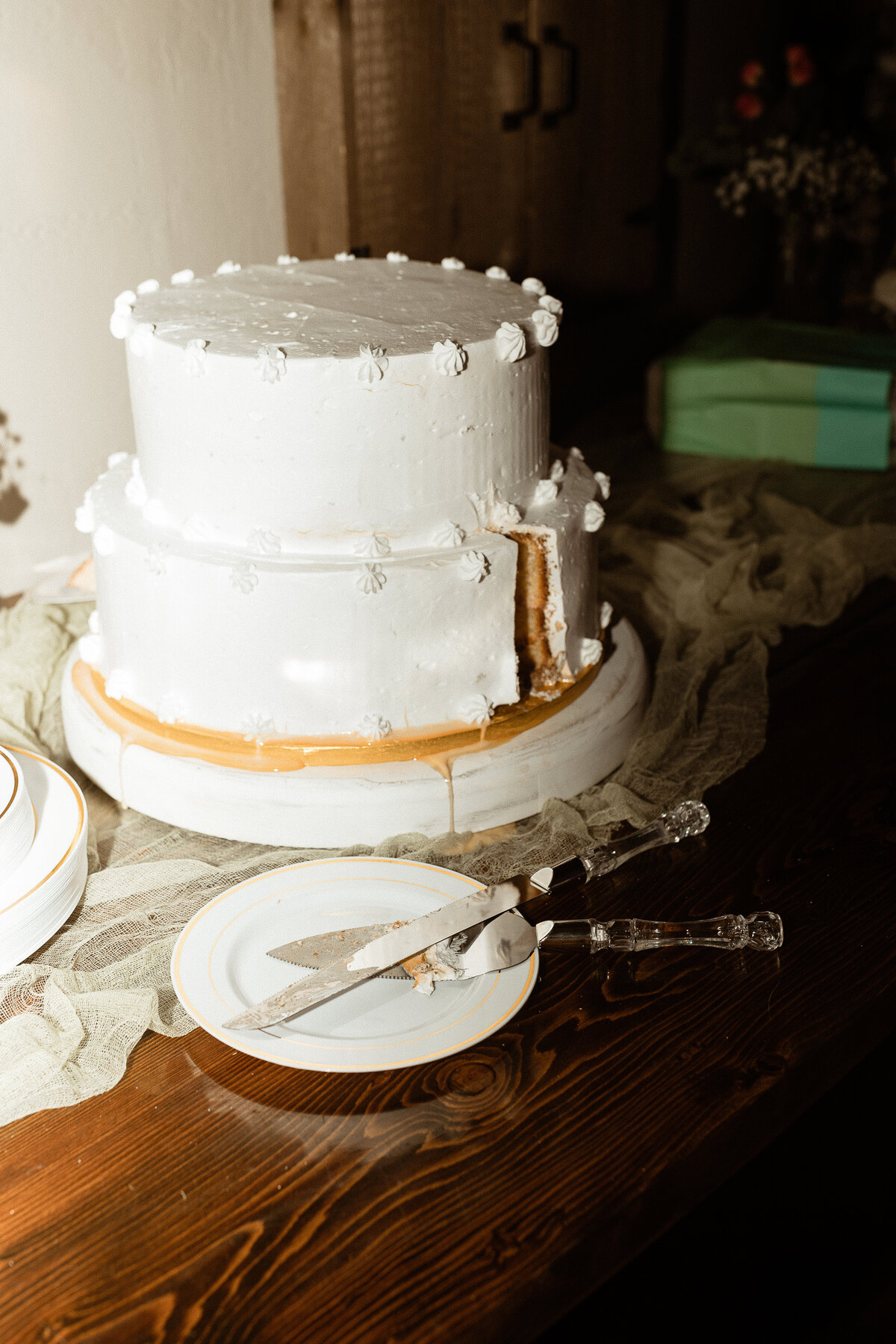 doorcountyWEDDINGphotographer-CASTILLO557