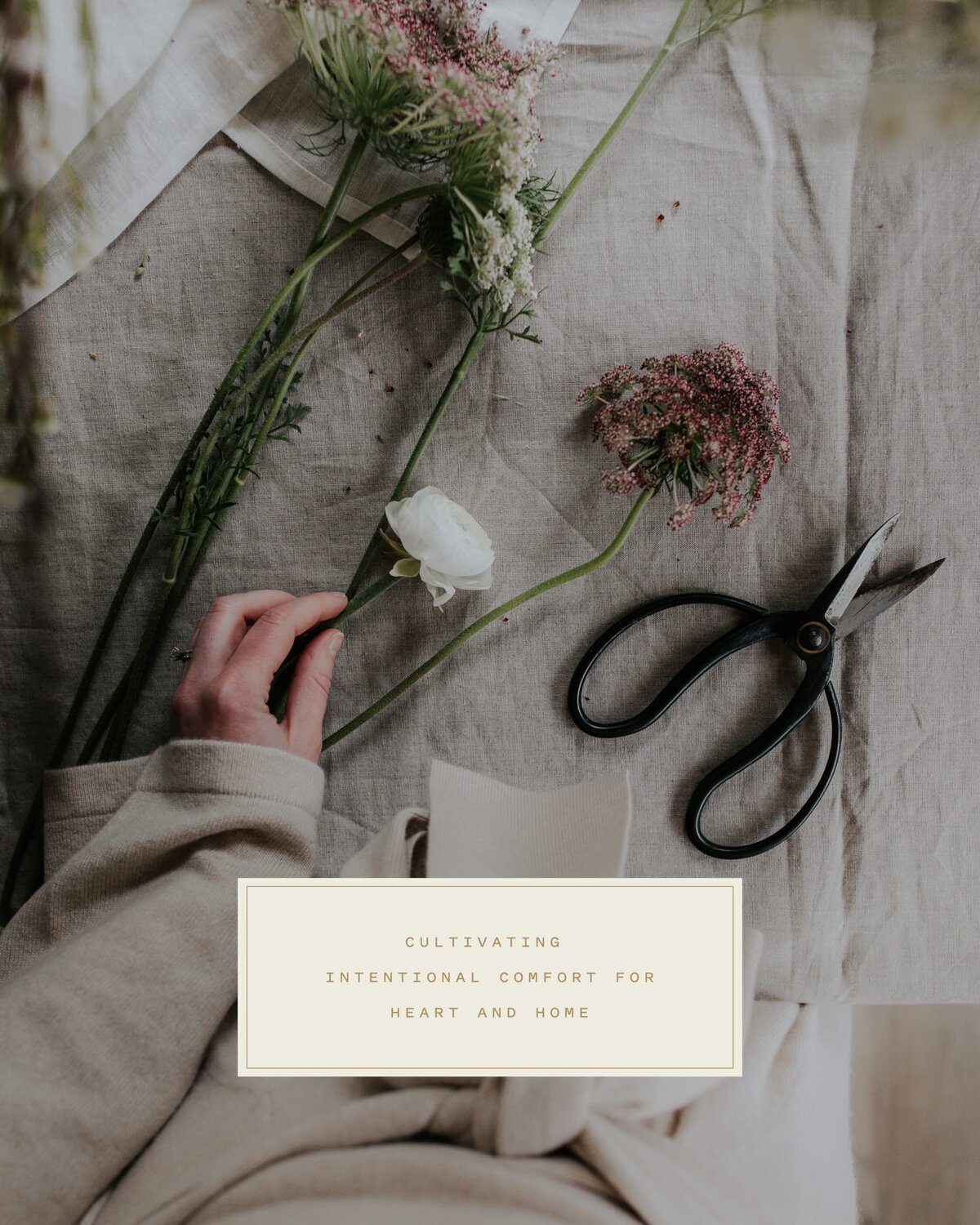 Field+Bee_LaunchGraphics_Instagram104