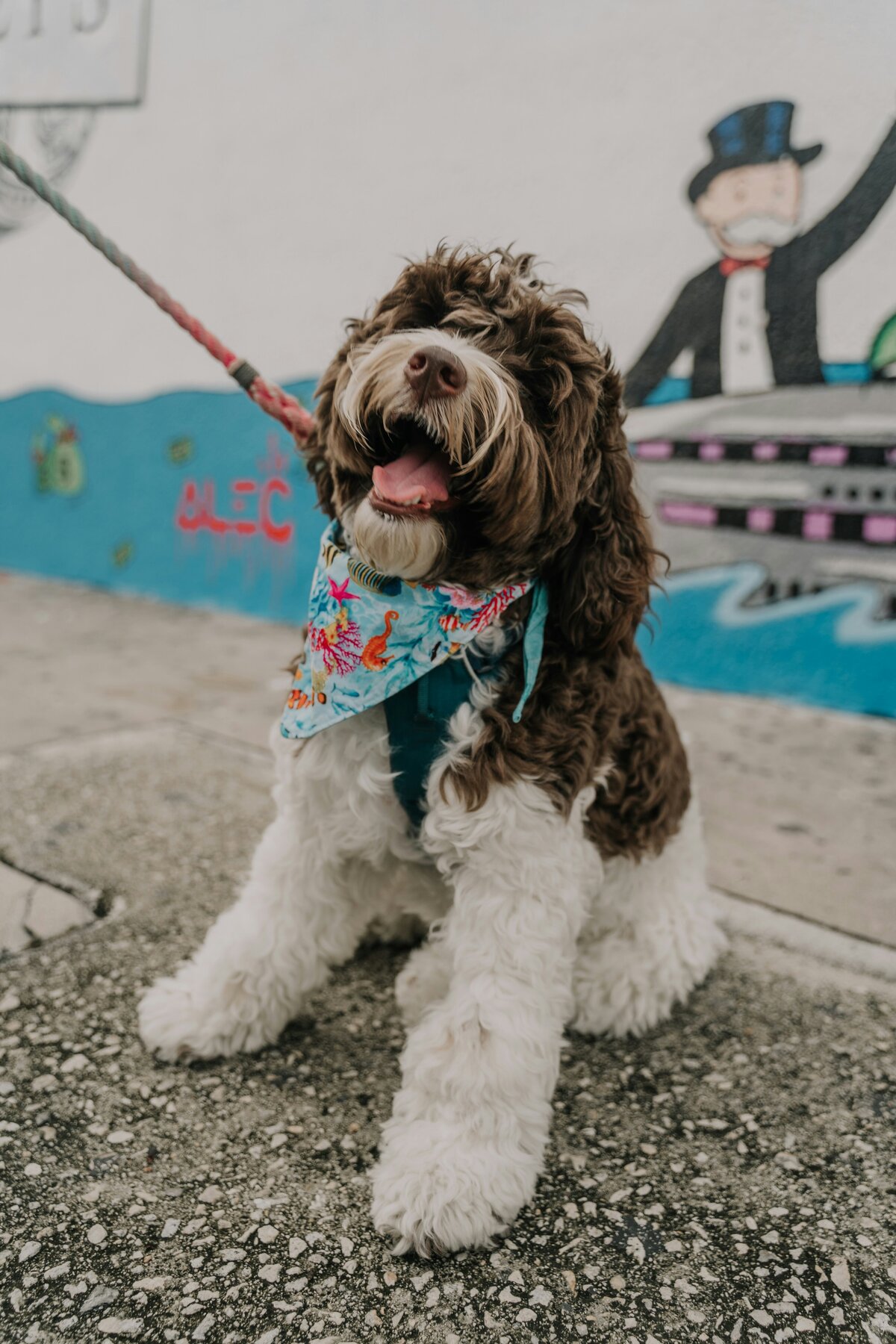 ronny-rondon-jdQdDpLgXNc-unsplash