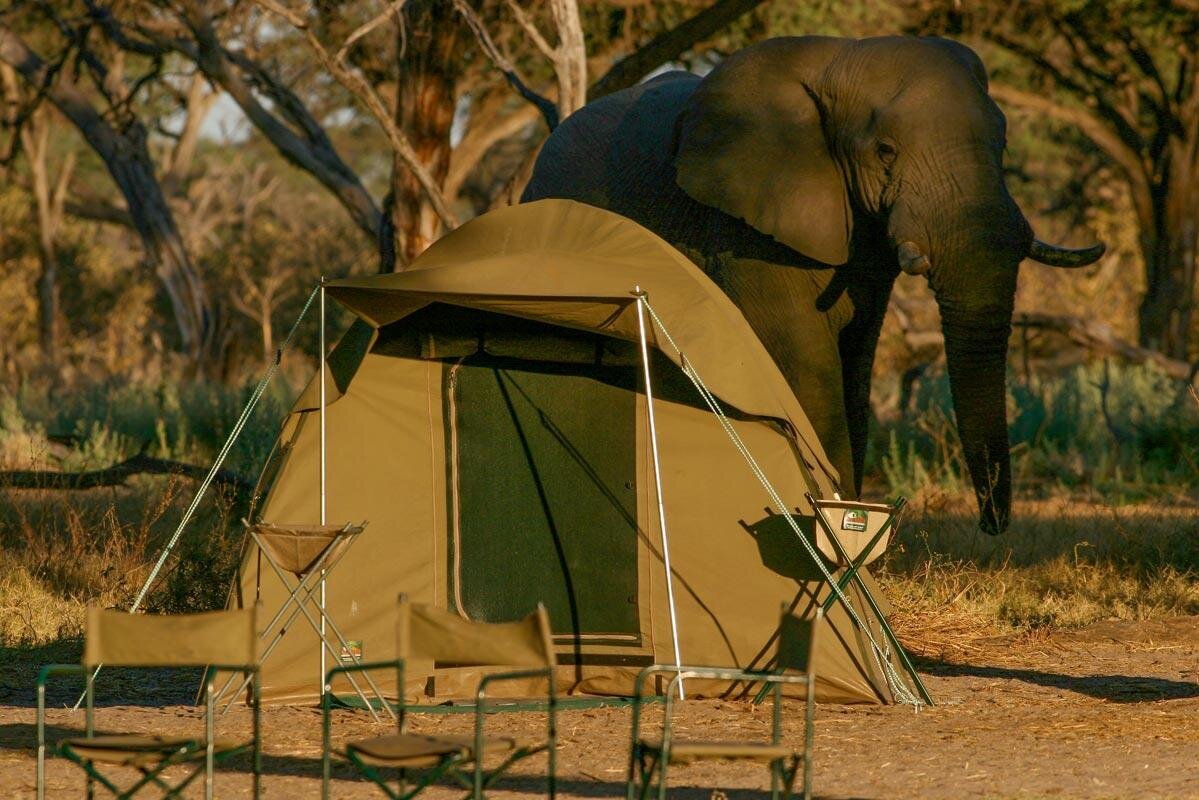 flycamp-1-l